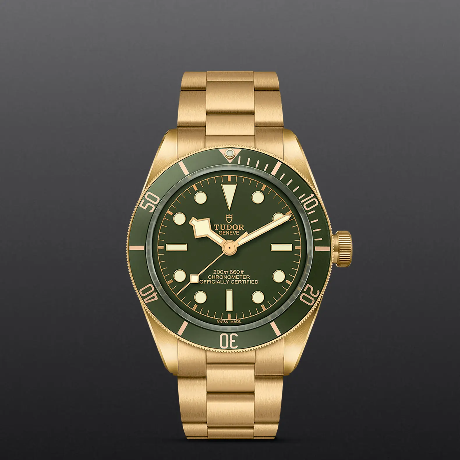 TUDORBlack Bay 58 18KBlack Bay 5839mm case, satin finished, in 18 ct yellow gold Open case back with sapphire crystal - M79018V-0006 at Cortina Watch Singapore