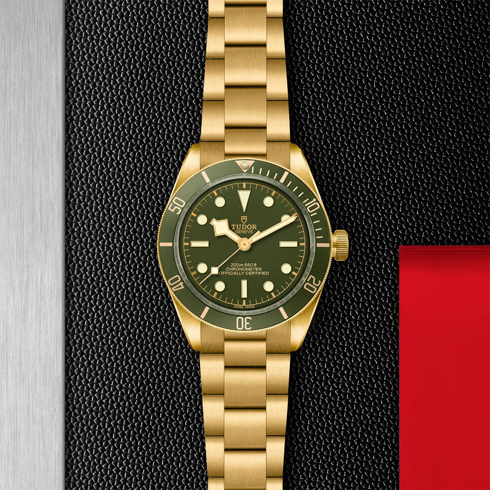 TUDORBlack Bay 58 18KBlack Bay 5839mm case, satin finished, in 18 ct yellow gold Open case back with sapphire crystal - M79018V-0006 at Cortina Watch Singapore