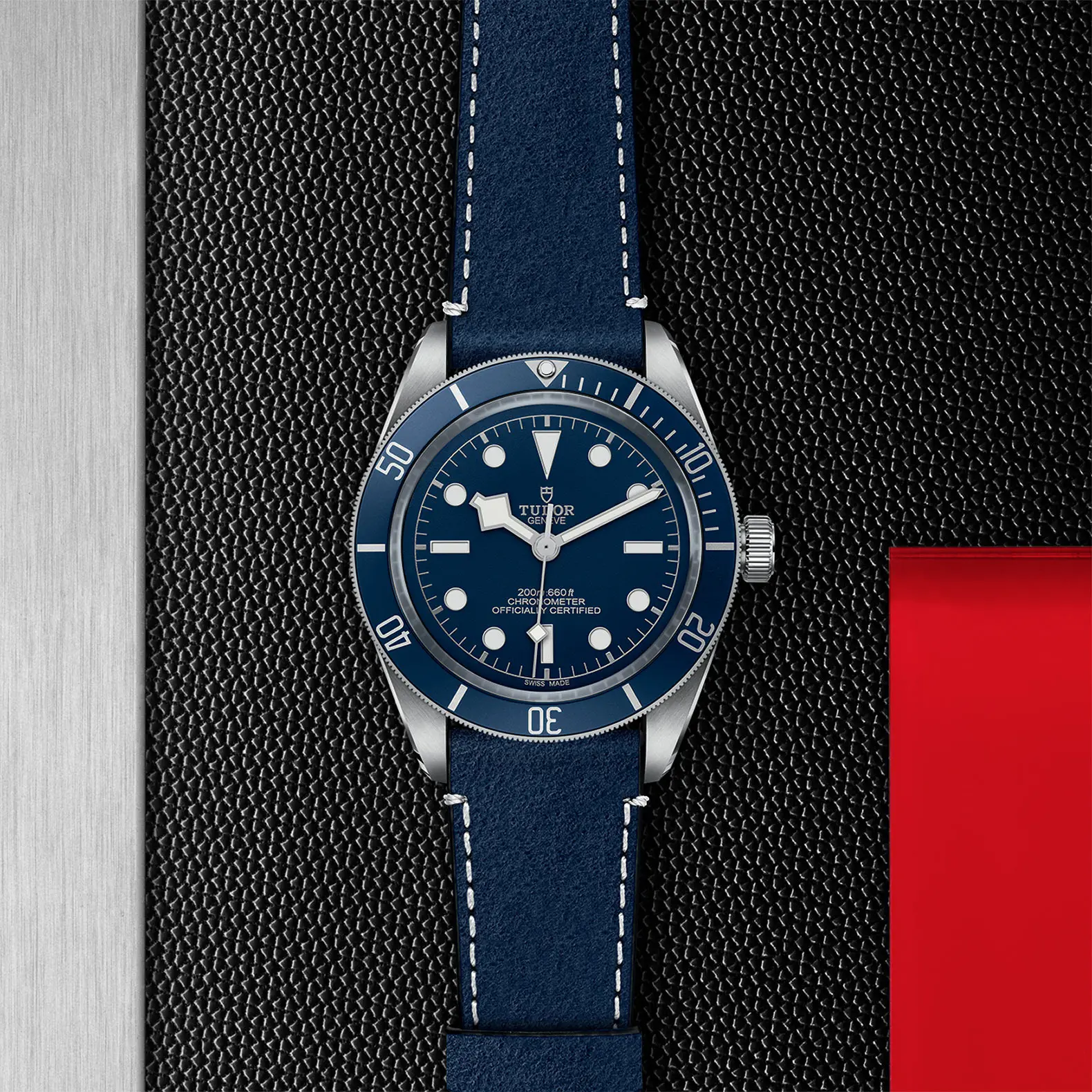 TUDORBlack Bay 58Black Bay 5839mm steel case with polished and satin finish - M79030B-0002 at Cortina Watch Singapore