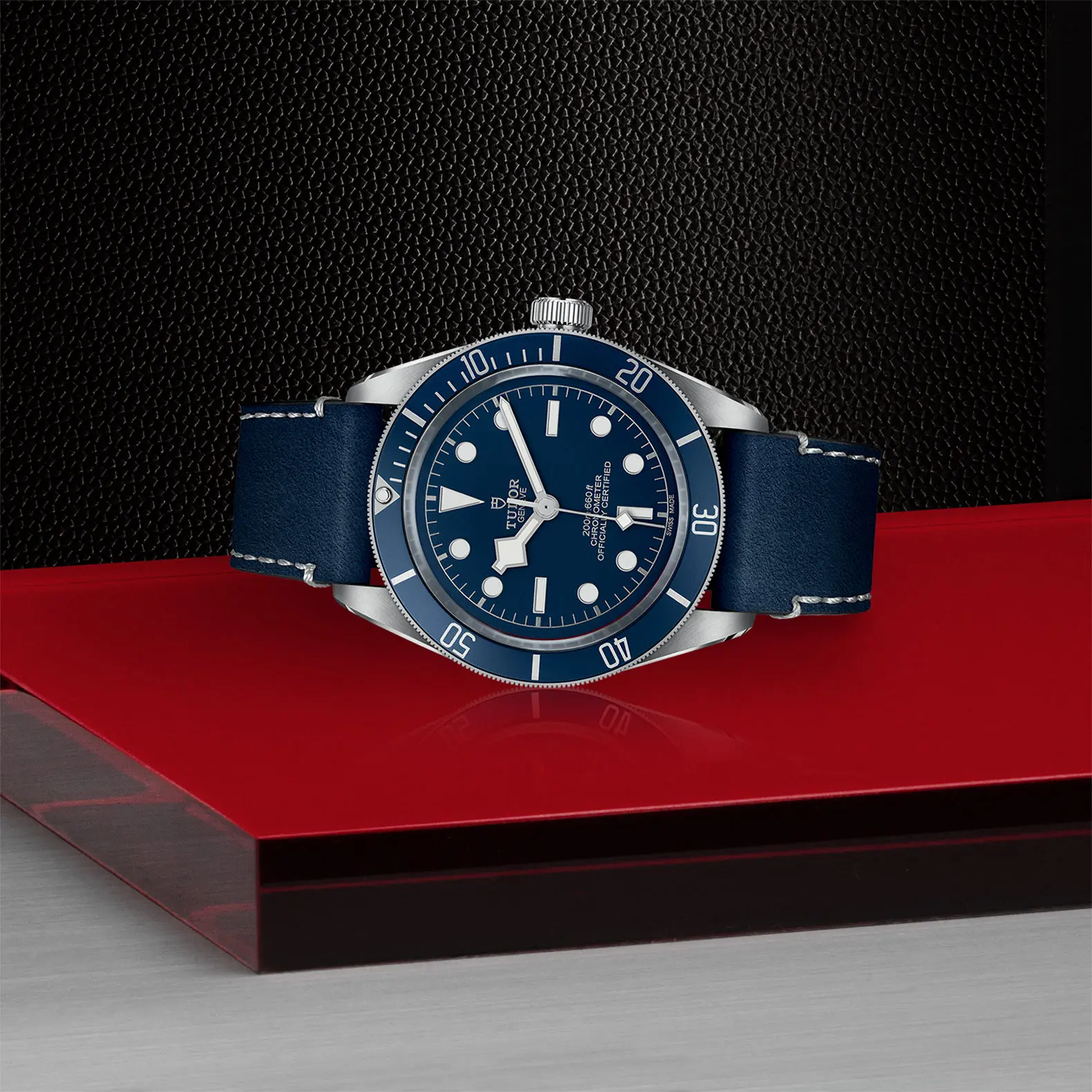TUDORBlack Bay 58Black Bay 5839mm steel case with polished and satin finish - M79030B-0002 at Cortina Watch Singapore