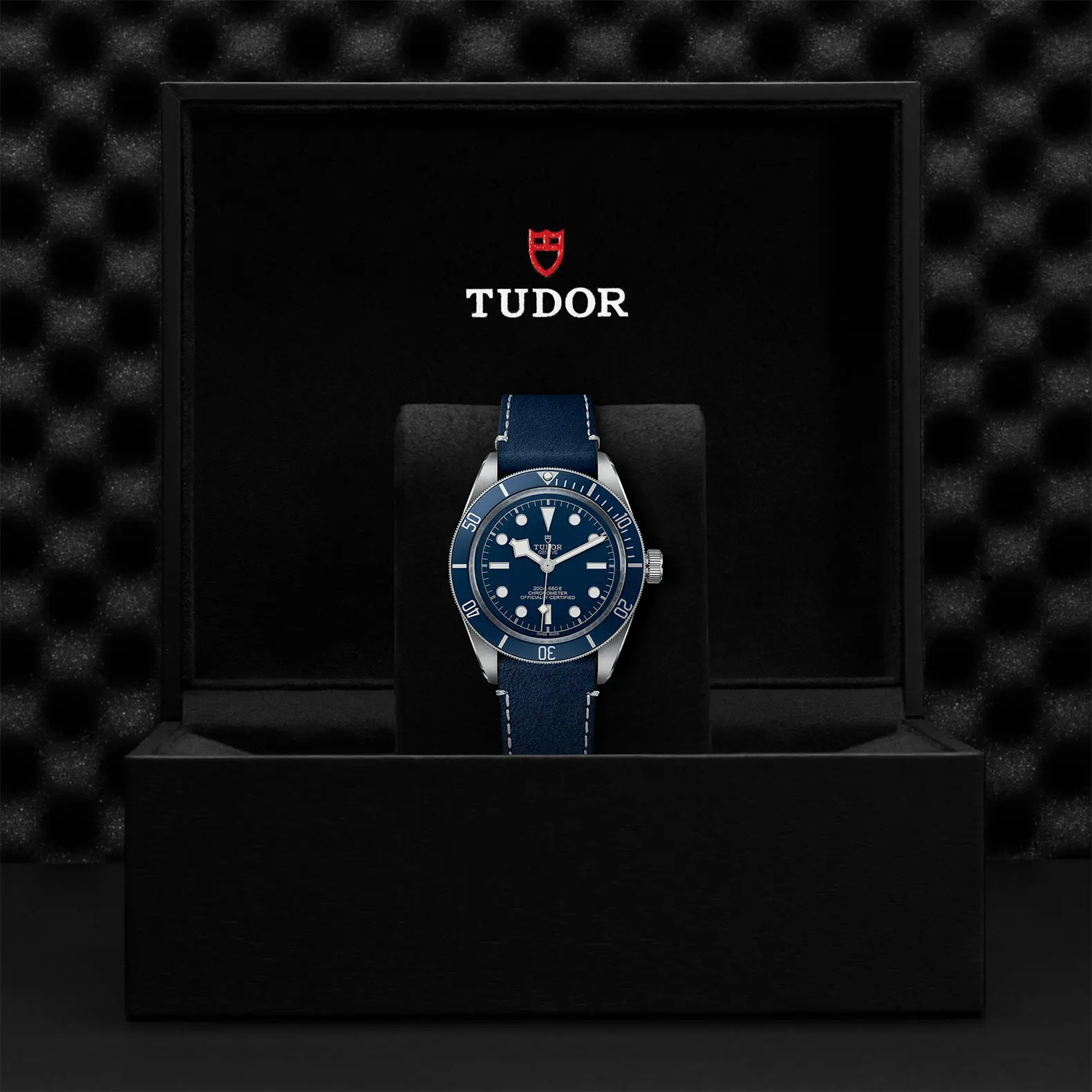 TUDORBlack Bay 58Black Bay 5839mm steel case with polished and satin finish - M79030B-0002 at Cortina Watch Singapore