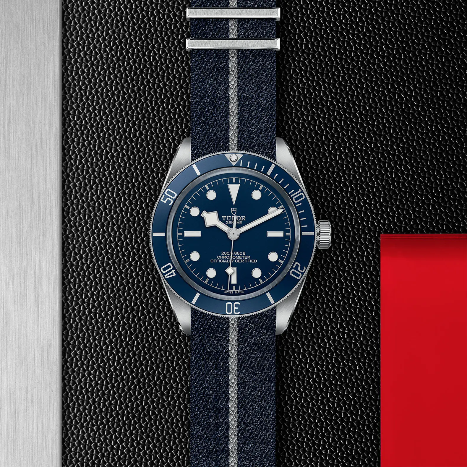 TUDORBlack Bay 58Black Bay 5839mm steel case with polished and satin finish - M79030B-0003 at Cortina Watch Singapore