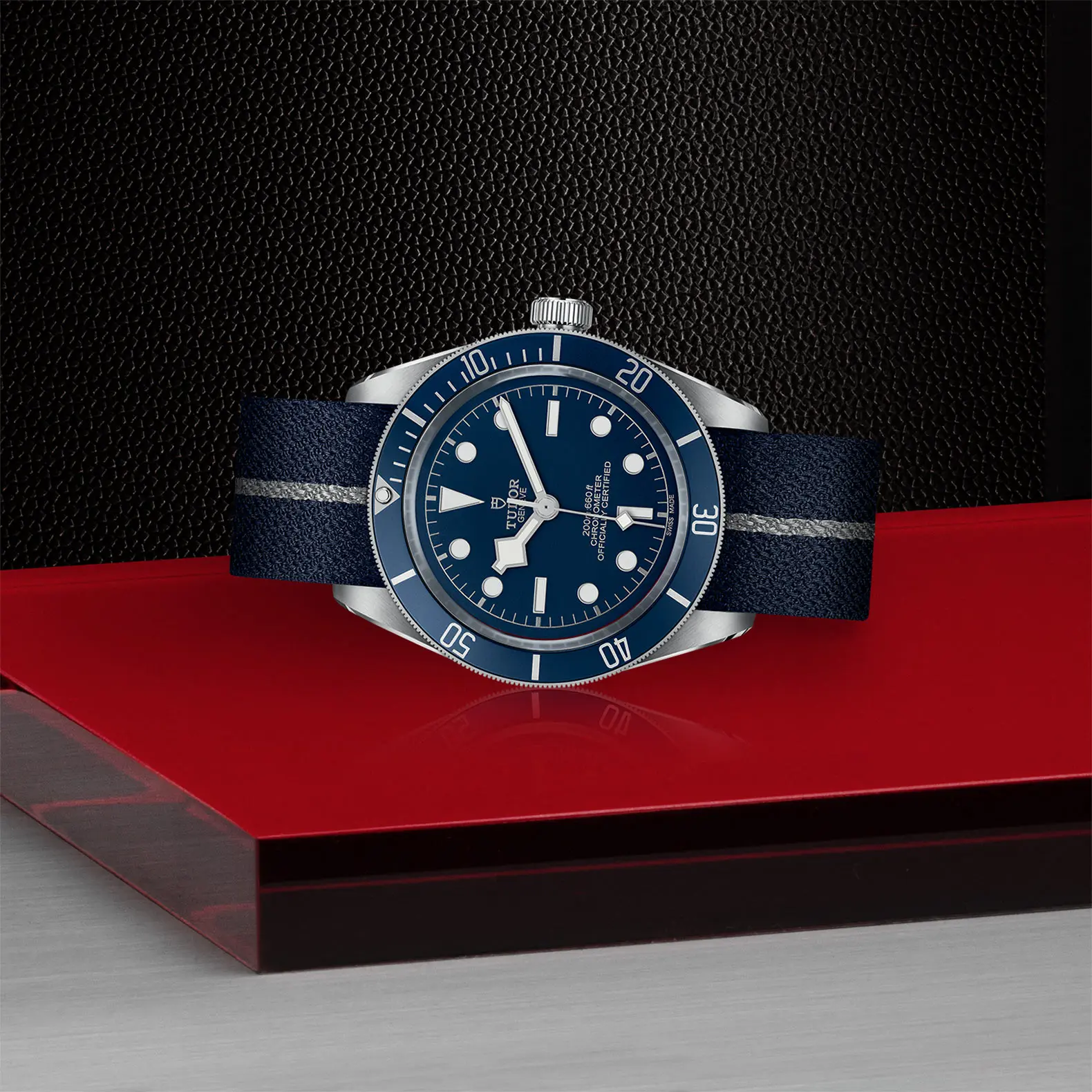 TUDORBlack Bay 58Black Bay 5839mm steel case with polished and satin finish - M79030B-0003 at Cortina Watch Singapore