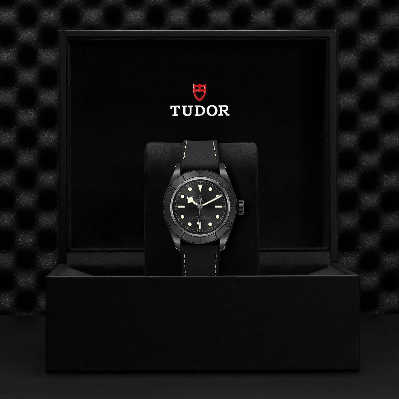 TUDORBlack Bay CeramicBlack Bay41mm matt black ceramic case with micro-blasted finish and monobloc middle case Open case back in black-PVD-treated 316L steel with sapphire crystal - M79210CNU-0001 at Cortina Watch Singapore