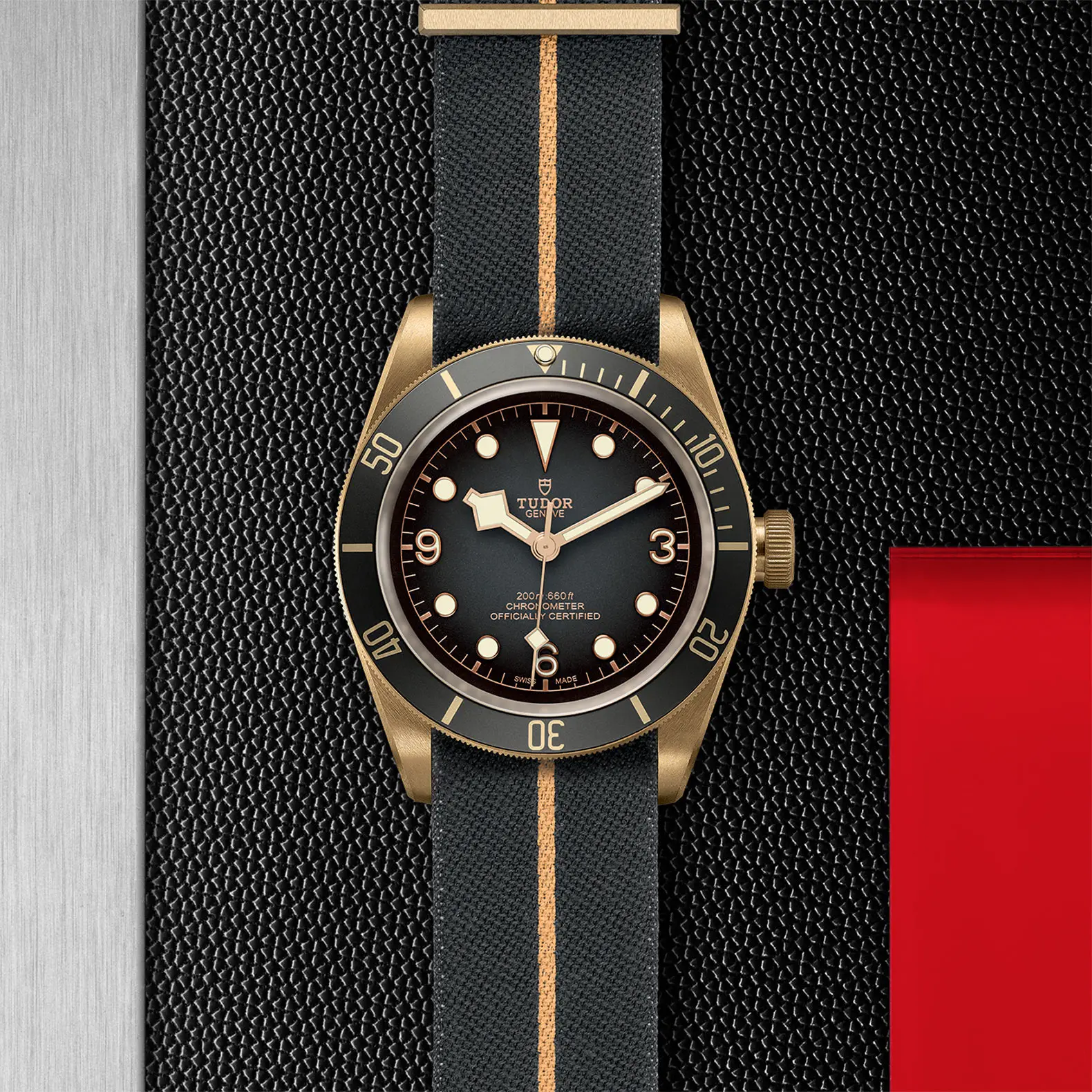 TUDORBlack Bay BronzeBlack Bay Bronze43mm bronze case with bronze-coloured PVD-treated steel case back and satin finish - M79250BA-0002 at Cortina Watch Singapore