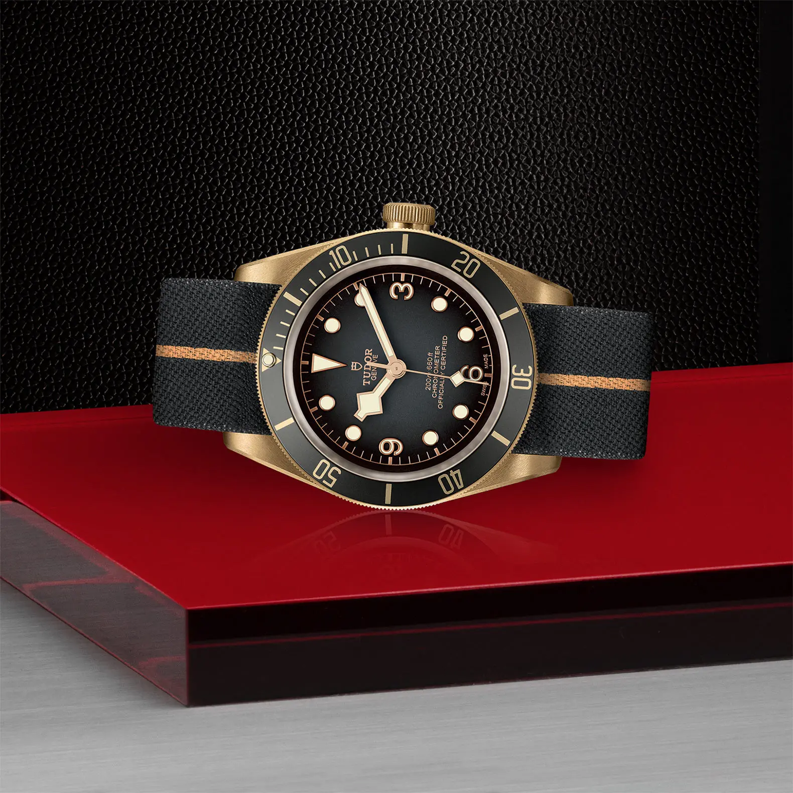 TUDORBlack Bay BronzeBlack Bay Bronze43mm bronze case with bronze-coloured PVD-treated steel case back and satin finish - M79250BA-0002 at Cortina Watch Singapore