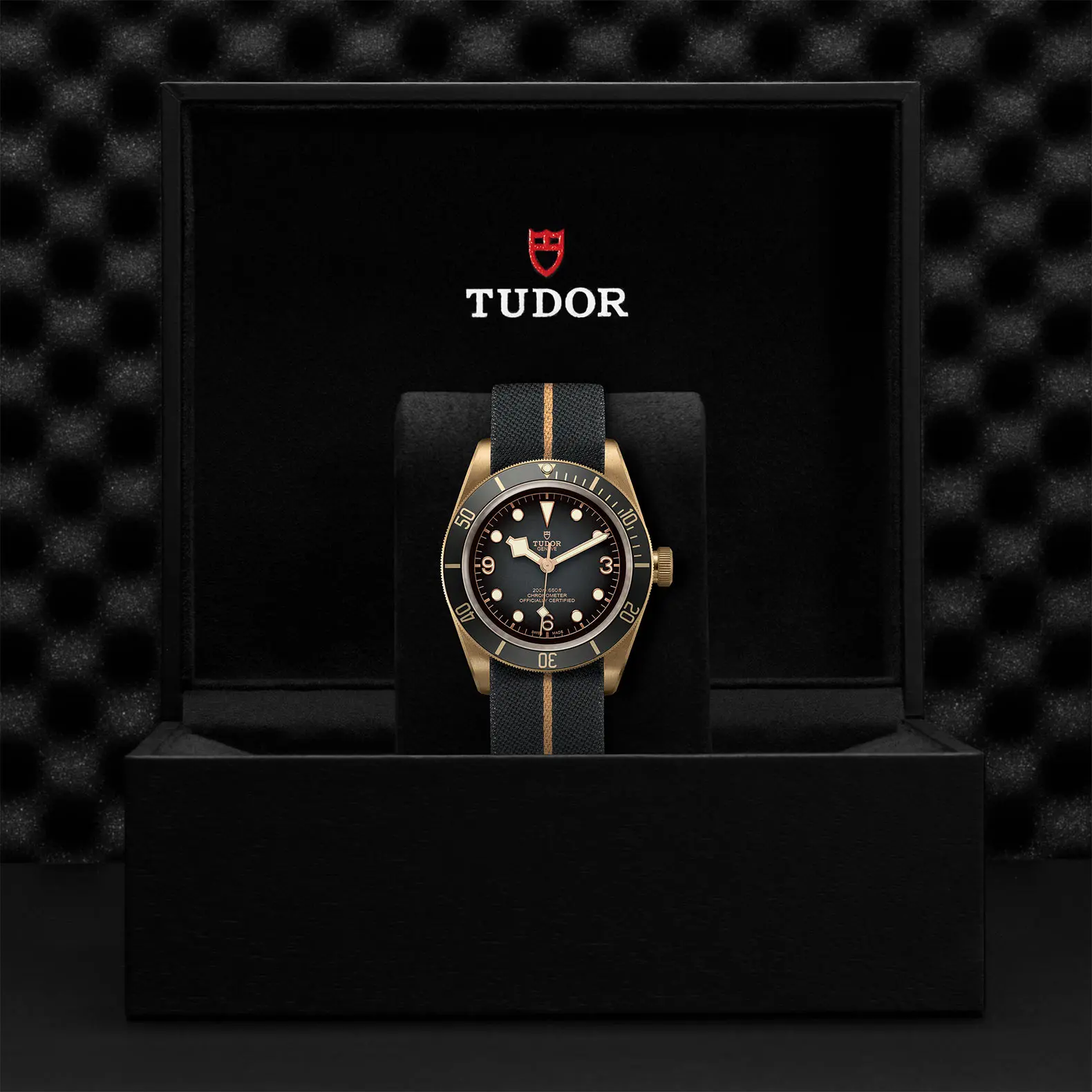 TUDORBlack Bay BronzeBlack Bay Bronze43mm bronze case with bronze-coloured PVD-treated steel case back and satin finish - M79250BA-0002 at Cortina Watch Singapore