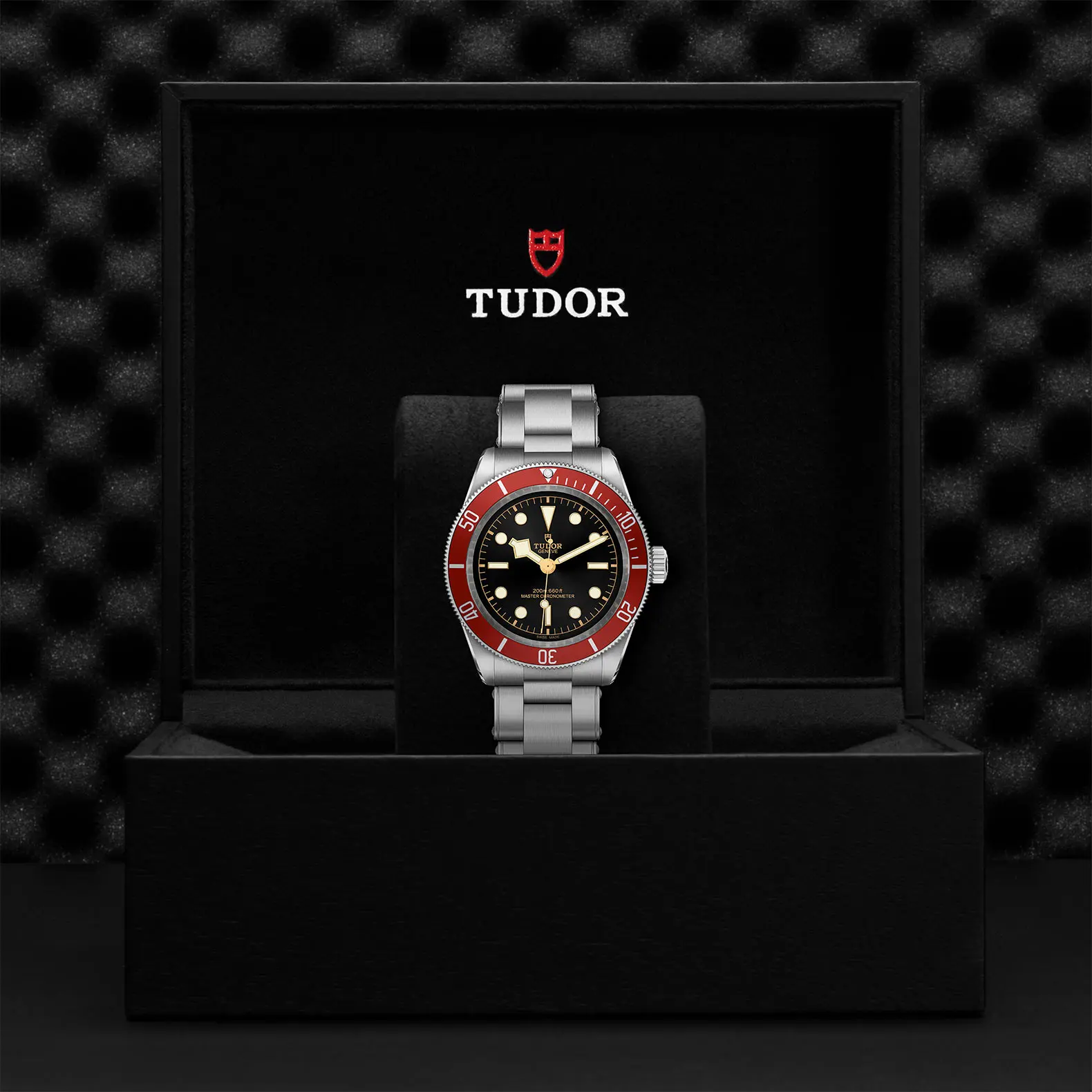 TUDORBlack BayBlack Bay41mm stainless steel case with polished and satin finish - M7941A1A0RU-0001 at Cortina Watch Singapore