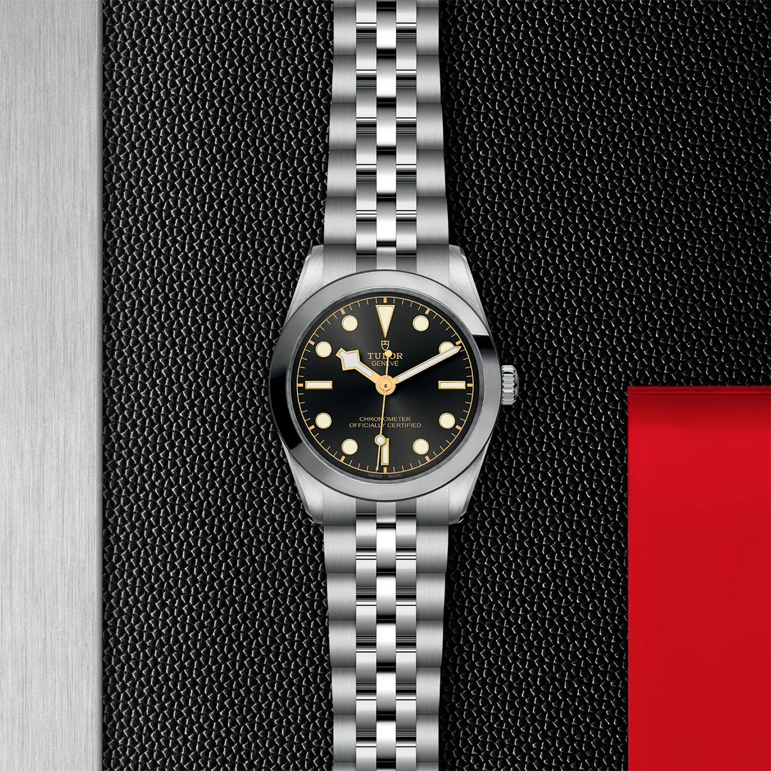 TUDORBlack Bay One 31Black Bay One31mm stainless steel case with polished and satin finish - M79600-0001 at Cortina Watch Singapore