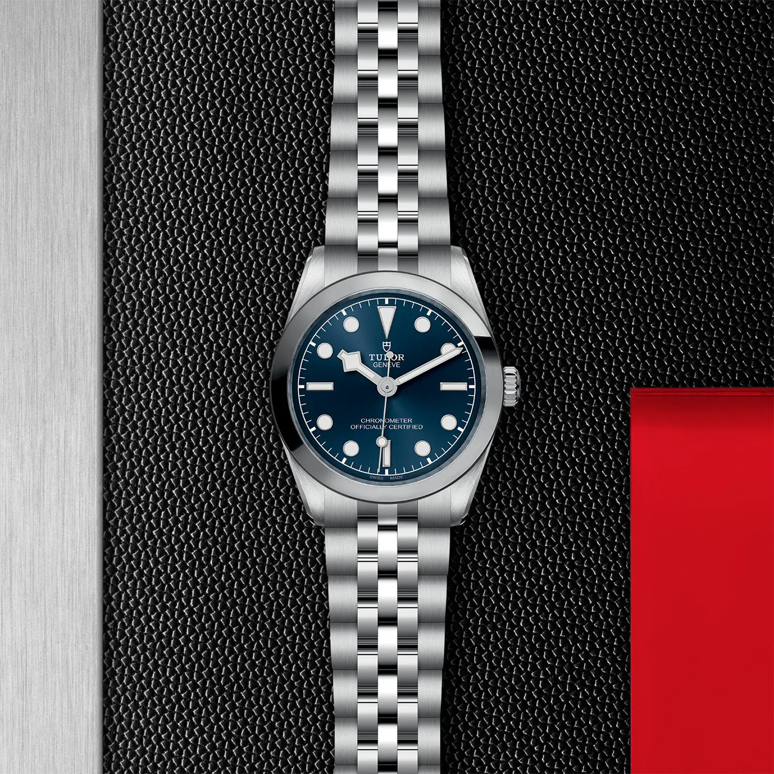 TUDORBlack Bay One 31Black Bay One31mm stainless steel case with polished and satin finish - M79600-0002 at Cortina Watch Singapore
