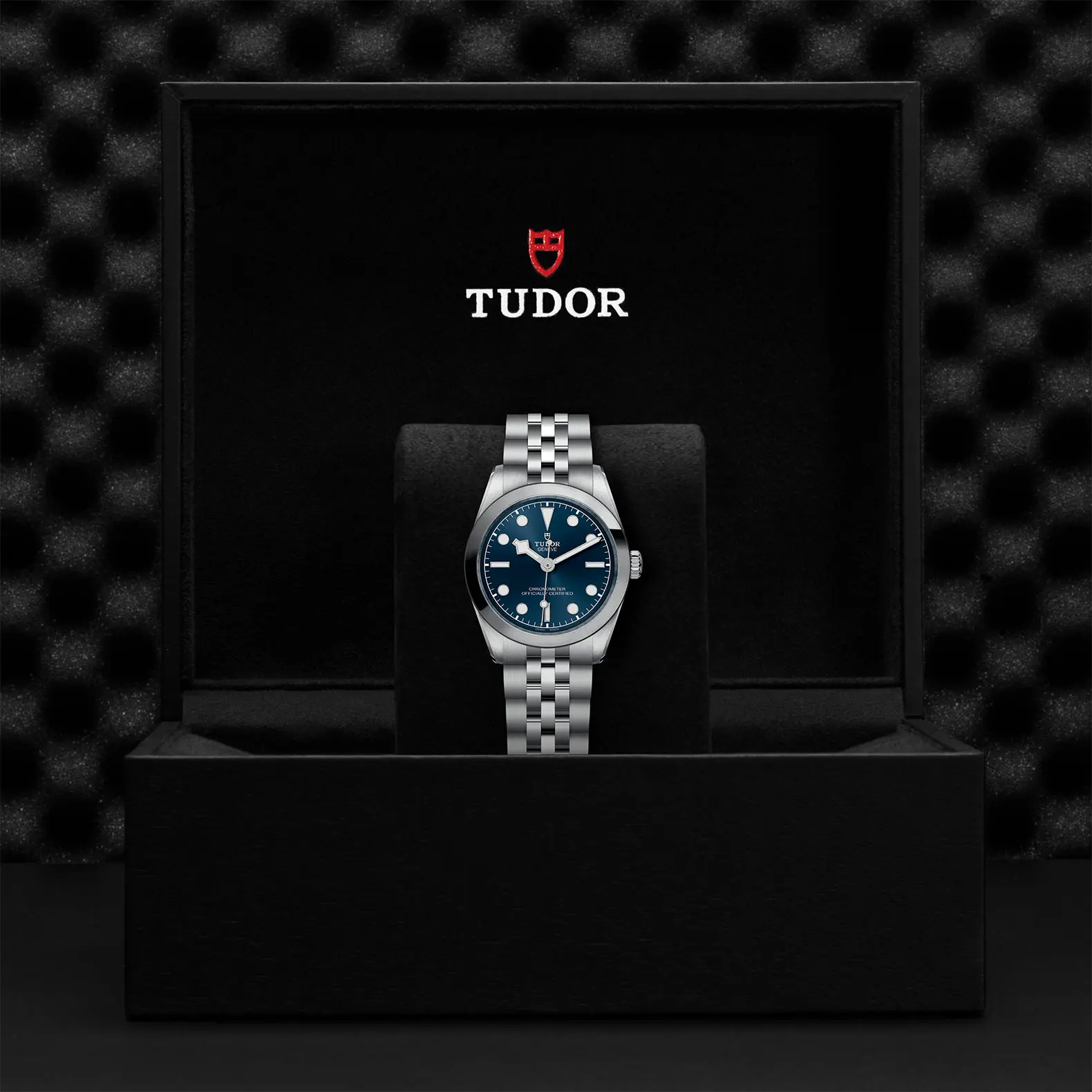 TUDORBlack Bay One 31Black Bay One31mm stainless steel case with polished and satin finish - M79600-0002 at Cortina Watch Singapore