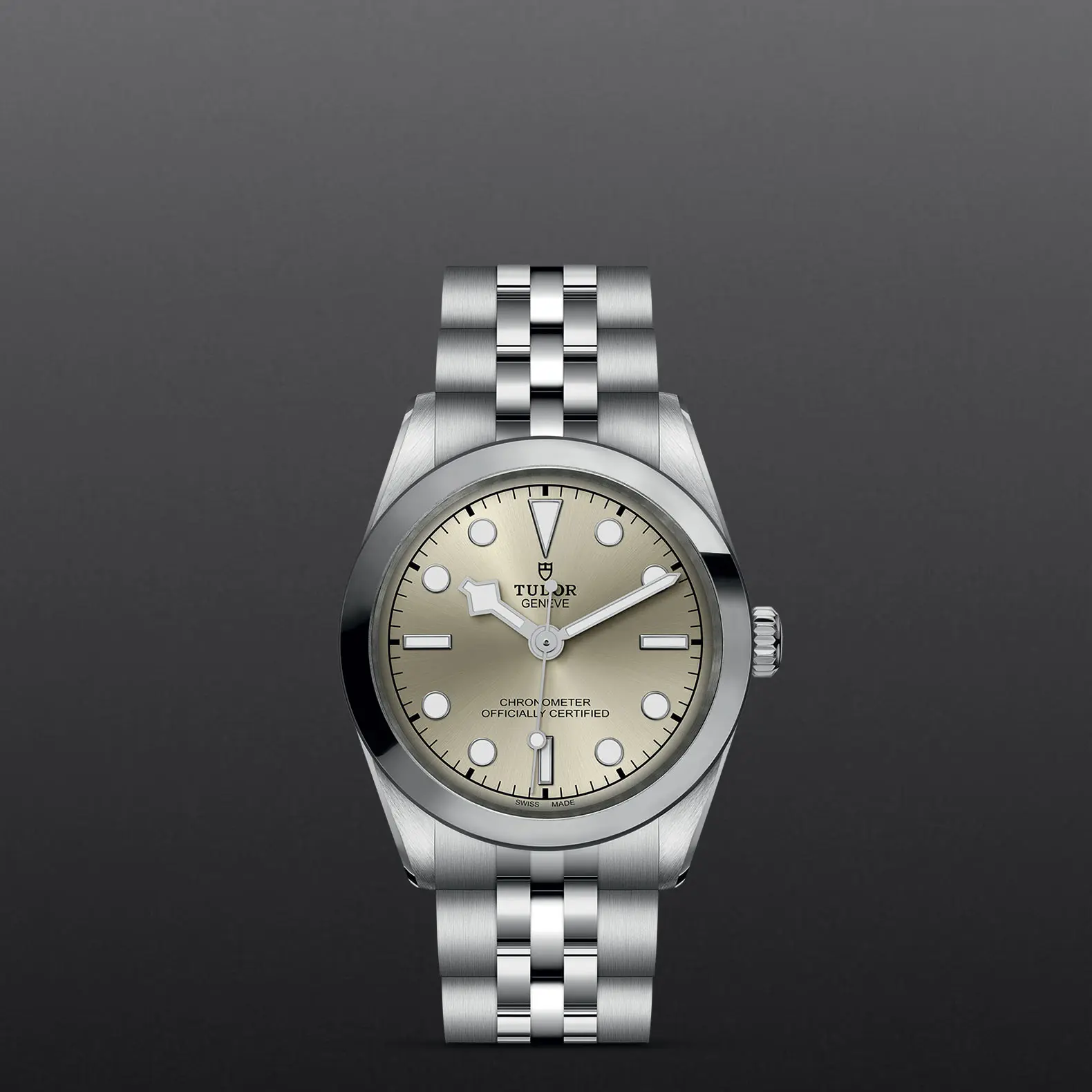 TUDORBlack Bay One 31Black Bay One31mm stainless steel case with polished and satin finish - M79600-0003 at Cortina Watch Singapore