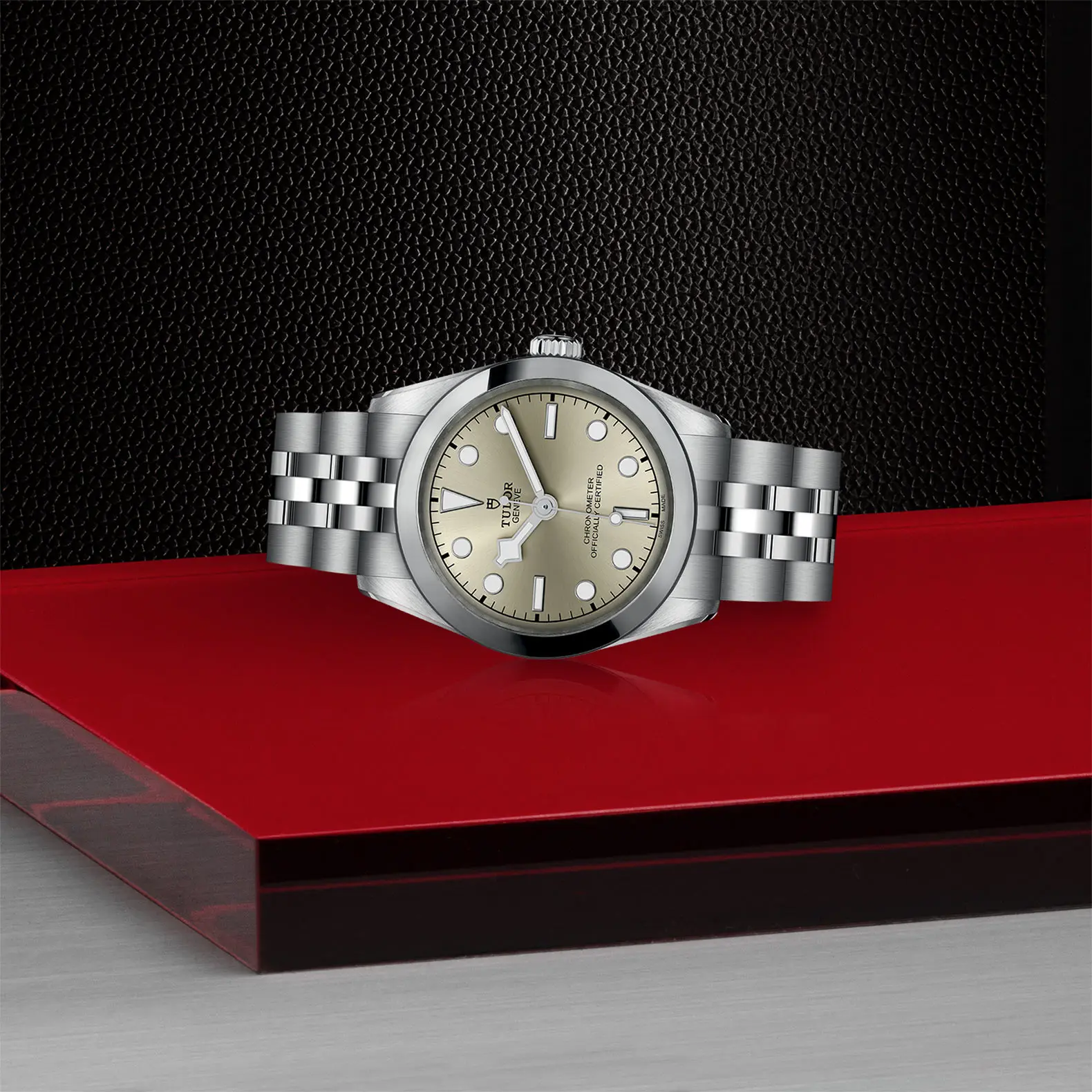 TUDORBlack Bay One 31Black Bay One31mm stainless steel case with polished and satin finish - M79600-0003 at Cortina Watch Singapore