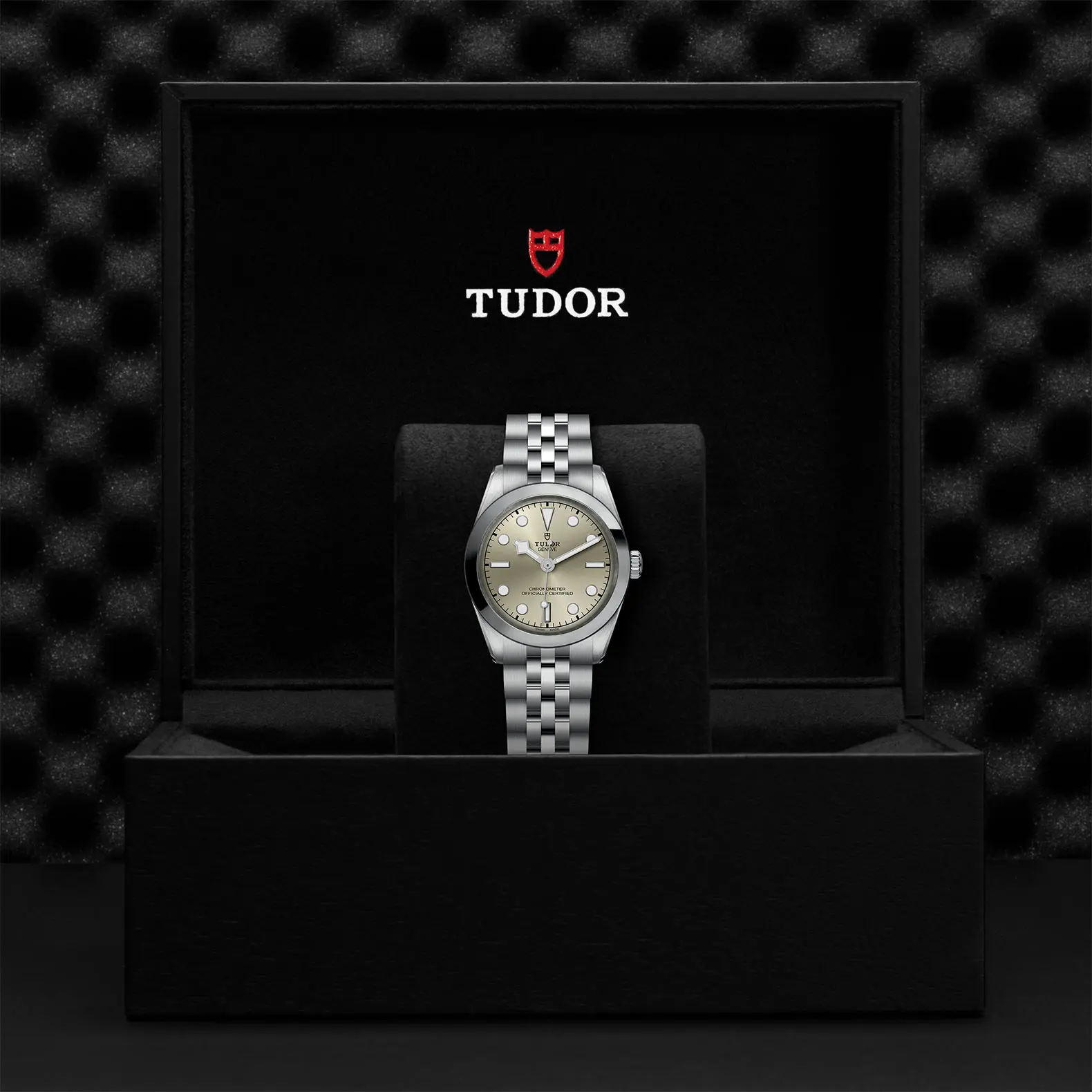 TUDORBlack Bay One 31Black Bay One31mm stainless steel case with polished and satin finish - M79600-0003 at Cortina Watch Singapore