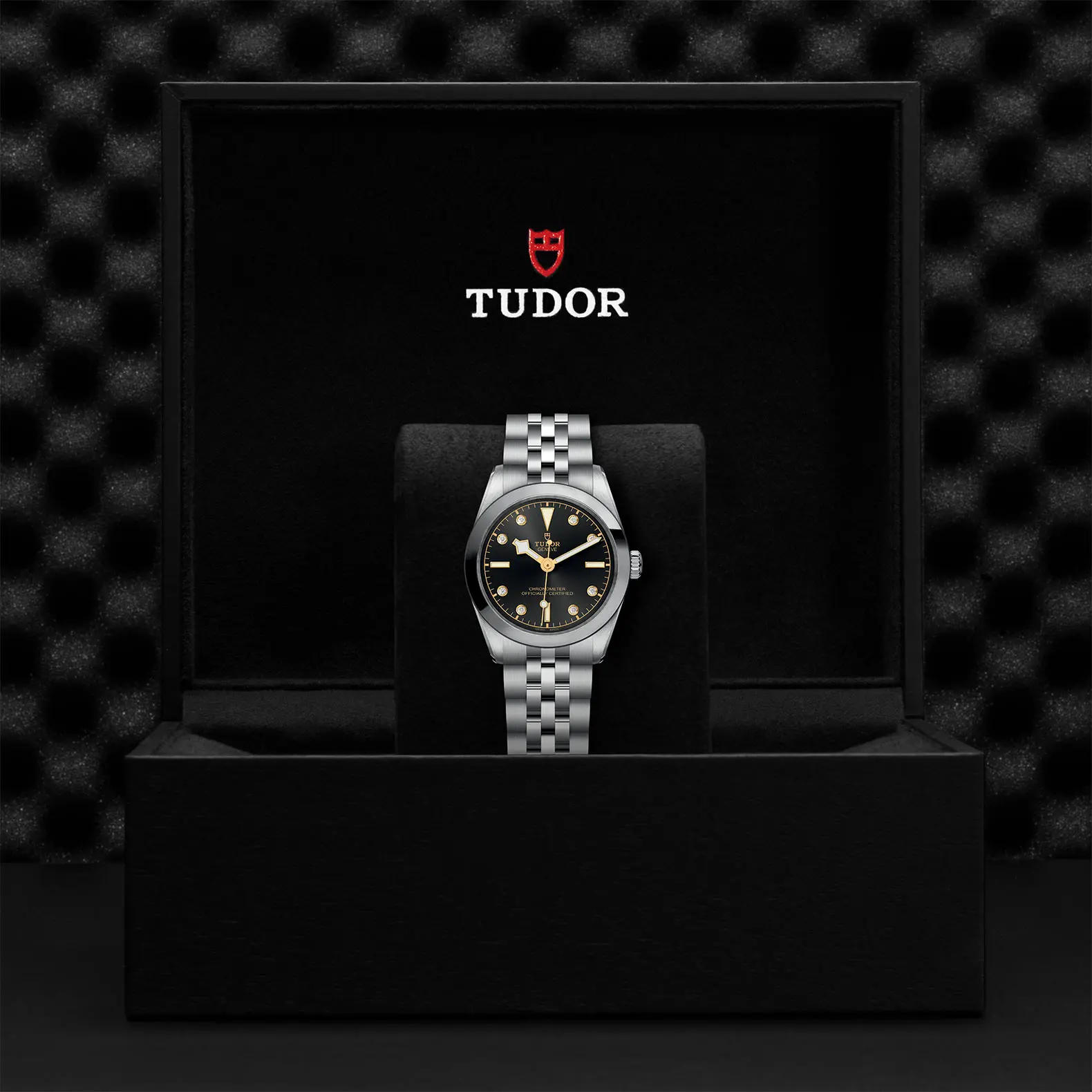 TUDORBlack Bay One 31Black Bay One31mm stainless steel case with polished and satin finish - M79600-0004 at Cortina Watch Singapore