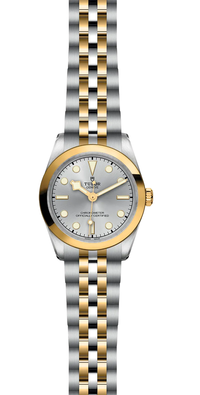 TUDORBlack Bay 31 S&GBlack Bay 31/36/39/4131mm 316L steel case with polished and satin finish - M79603-0002 at Cortina Watch Singapore