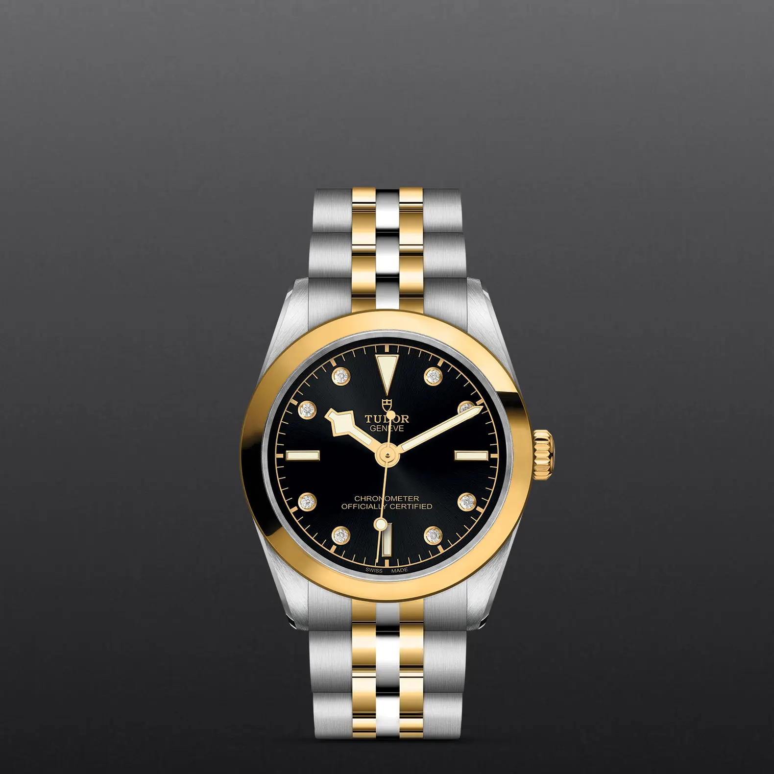 TUDORBlack Bay 31 S&GBlack Bay 31/36/39/4131mm 316L steel case with polished and satin finish - M79603-0006 at Cortina Watch Singapore