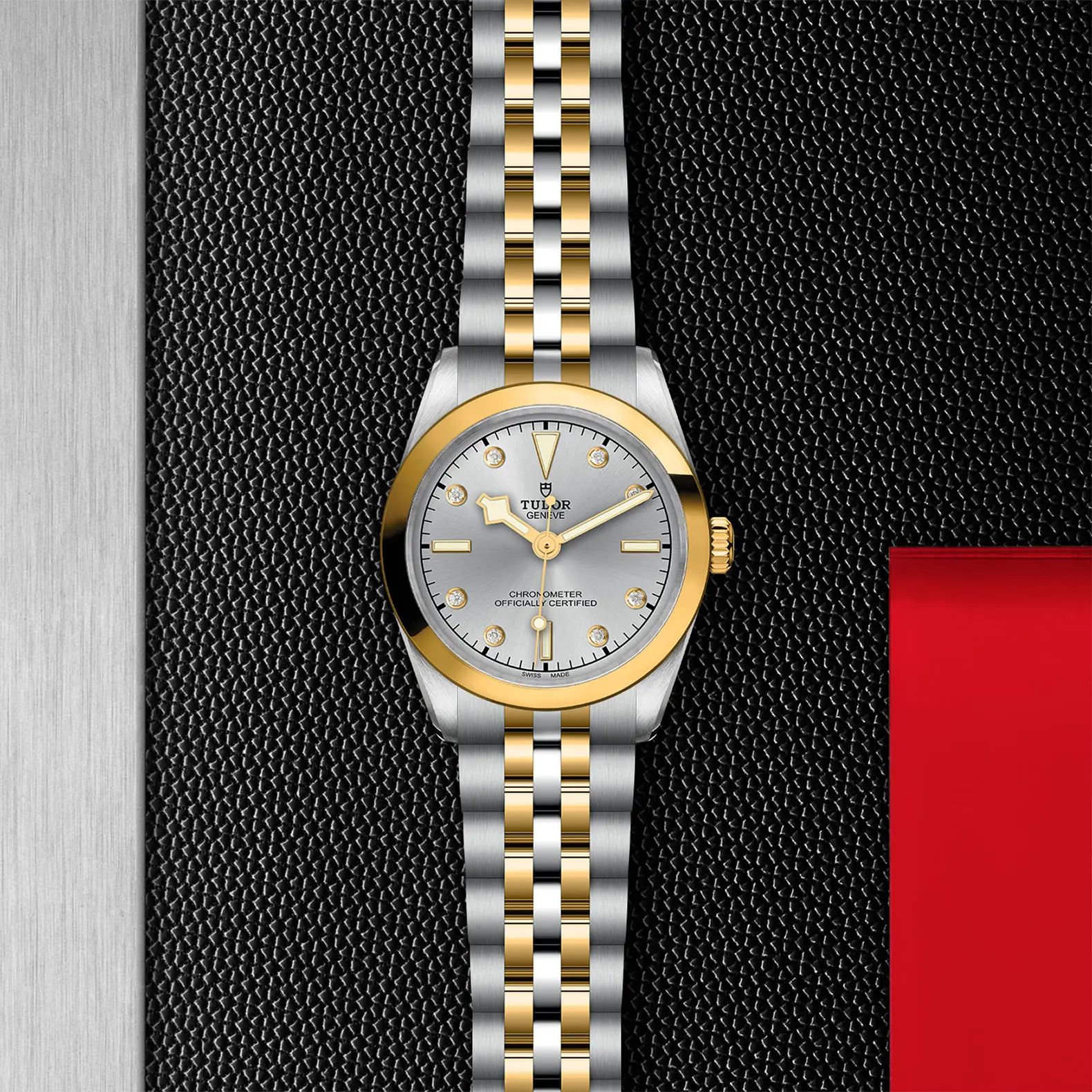 TUDORBlack Bay 31 S&GBlack Bay 31/36/39/4131mm 316L steel case with polished and satin finish - M79603-0007 at Cortina Watch Singapore