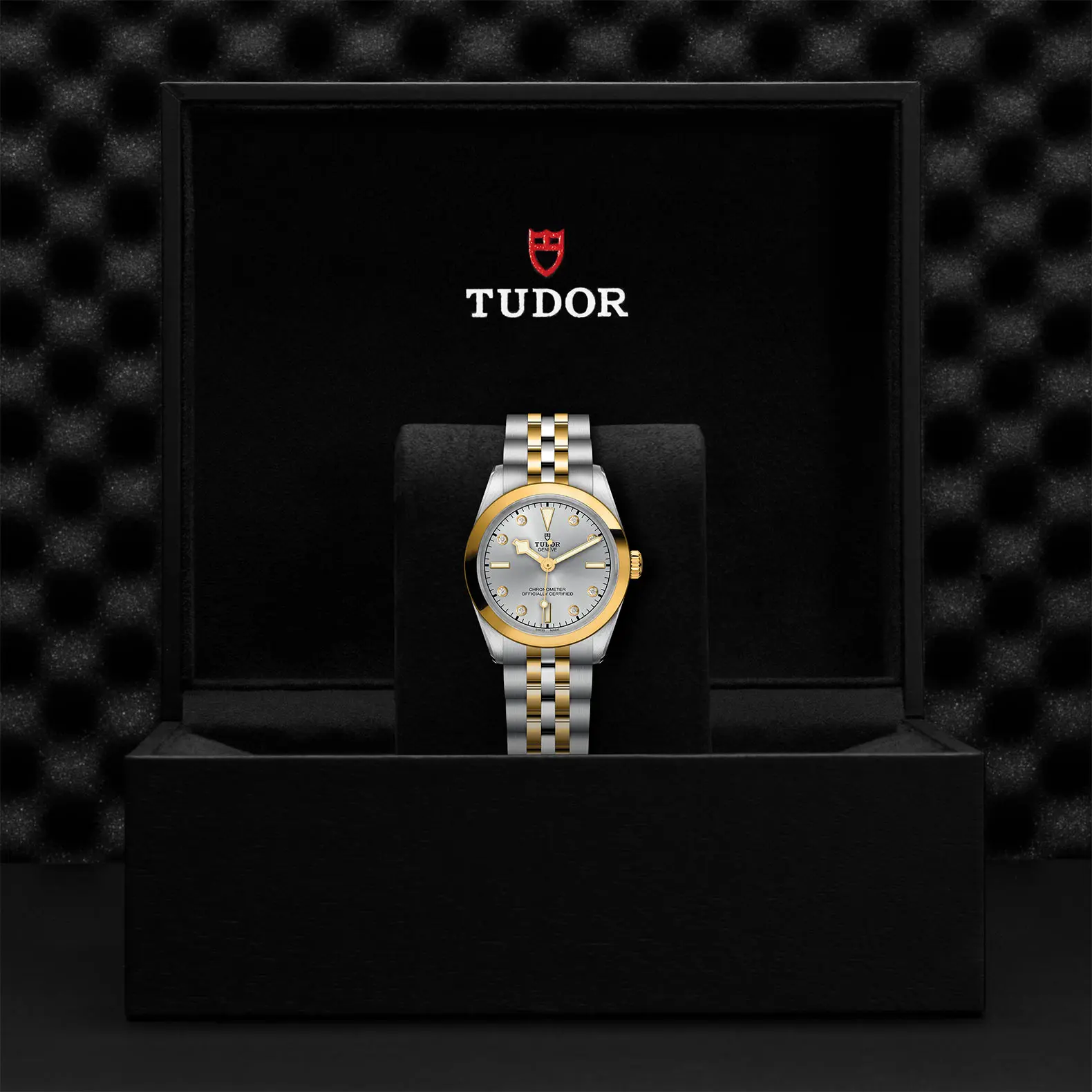 TUDORBlack Bay 31 S&GBlack Bay 31/36/39/4131mm 316L steel case with polished and satin finish - M79603-0007 at Cortina Watch Singapore