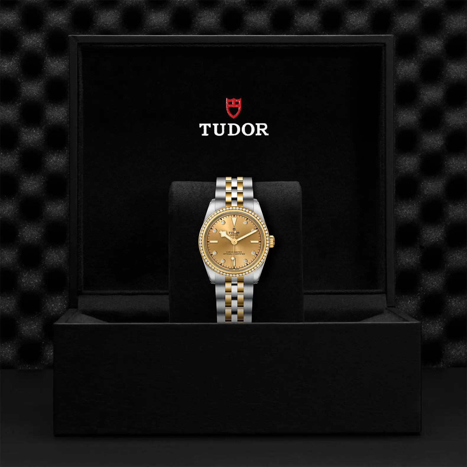 TUDORBlack Bay 31 S&GBlack Bay 31/36/39/4131mm 316L steel case with polished and satin finish - M79613-0007 at Cortina Watch Singapore