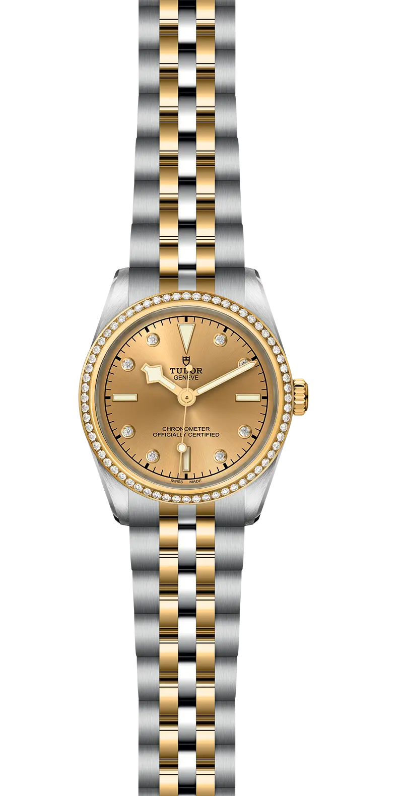 TUDORBlack Bay 31 S&GBlack Bay 31/36/39/4131mm 316L steel case with polished and satin finish - M79613-0007 at Cortina Watch Singapore