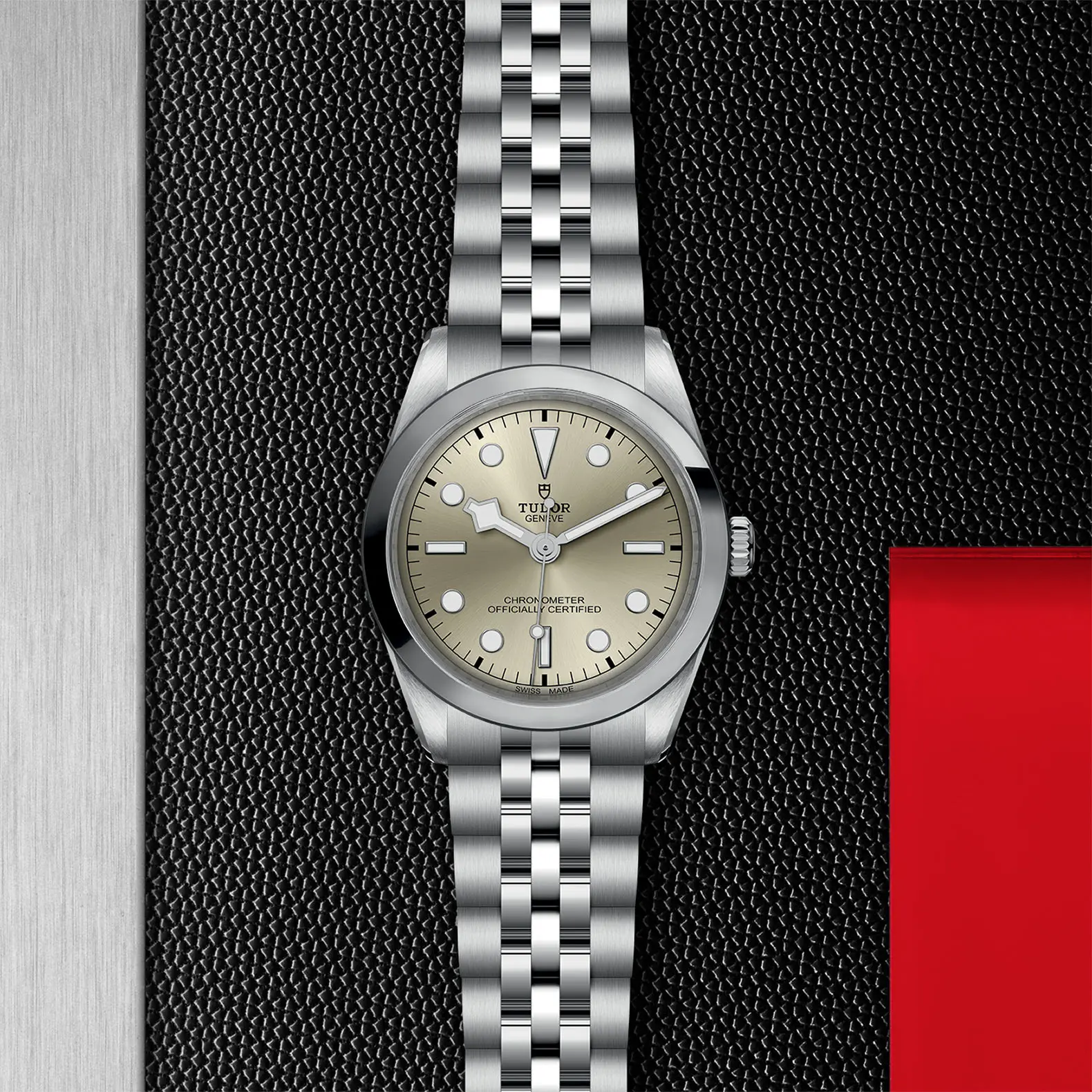 TUDORBlack Bay 36Black Bay 31/36/39/4136mm steel case with polished and satin finish - M79640-0003 at Cortina Watch Singapore
