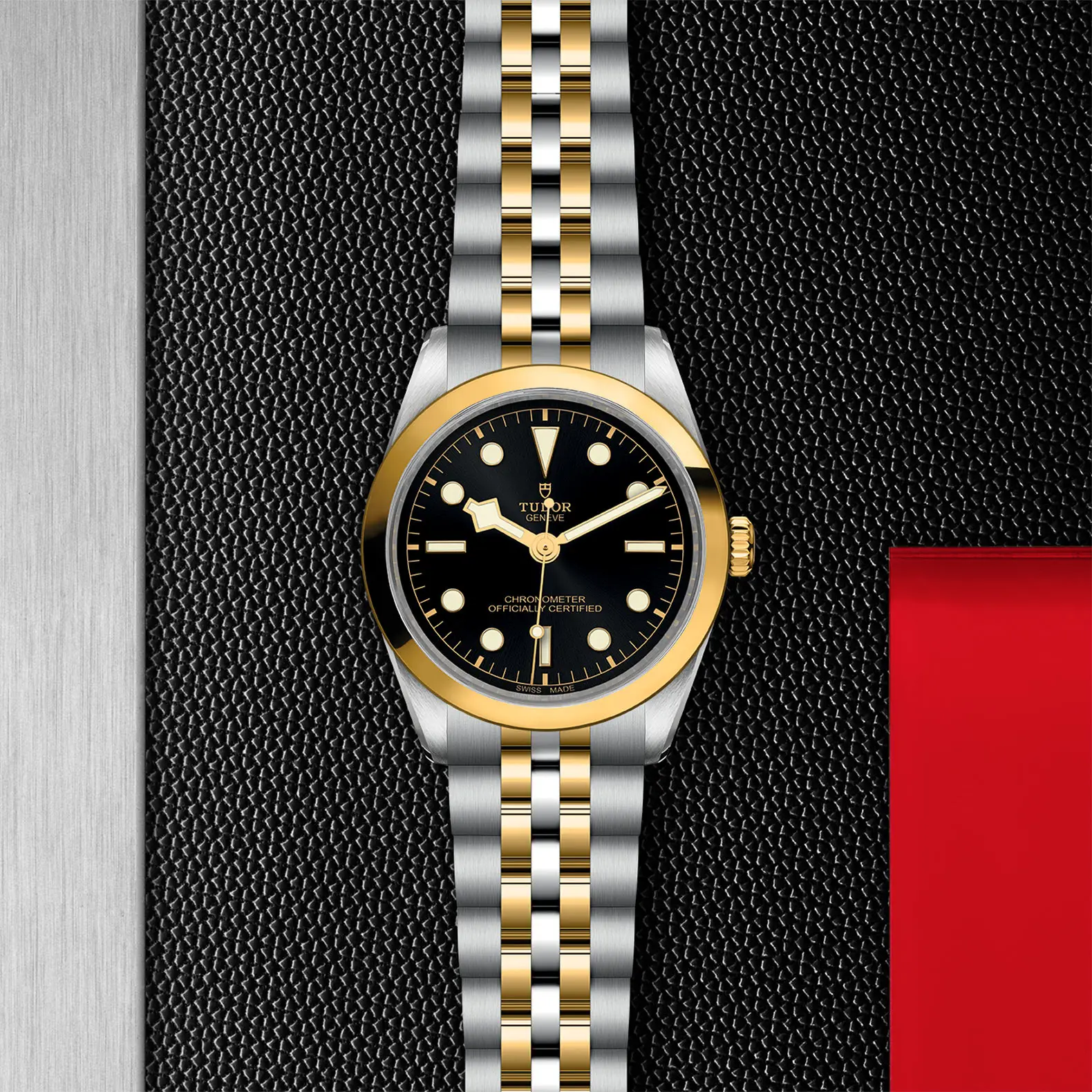 TUDORBlack Bay 36 S&GBlack Bay 31/36/39/4136mm steel case with polished and satin finish - M79643-0001 at Cortina Watch Singapore