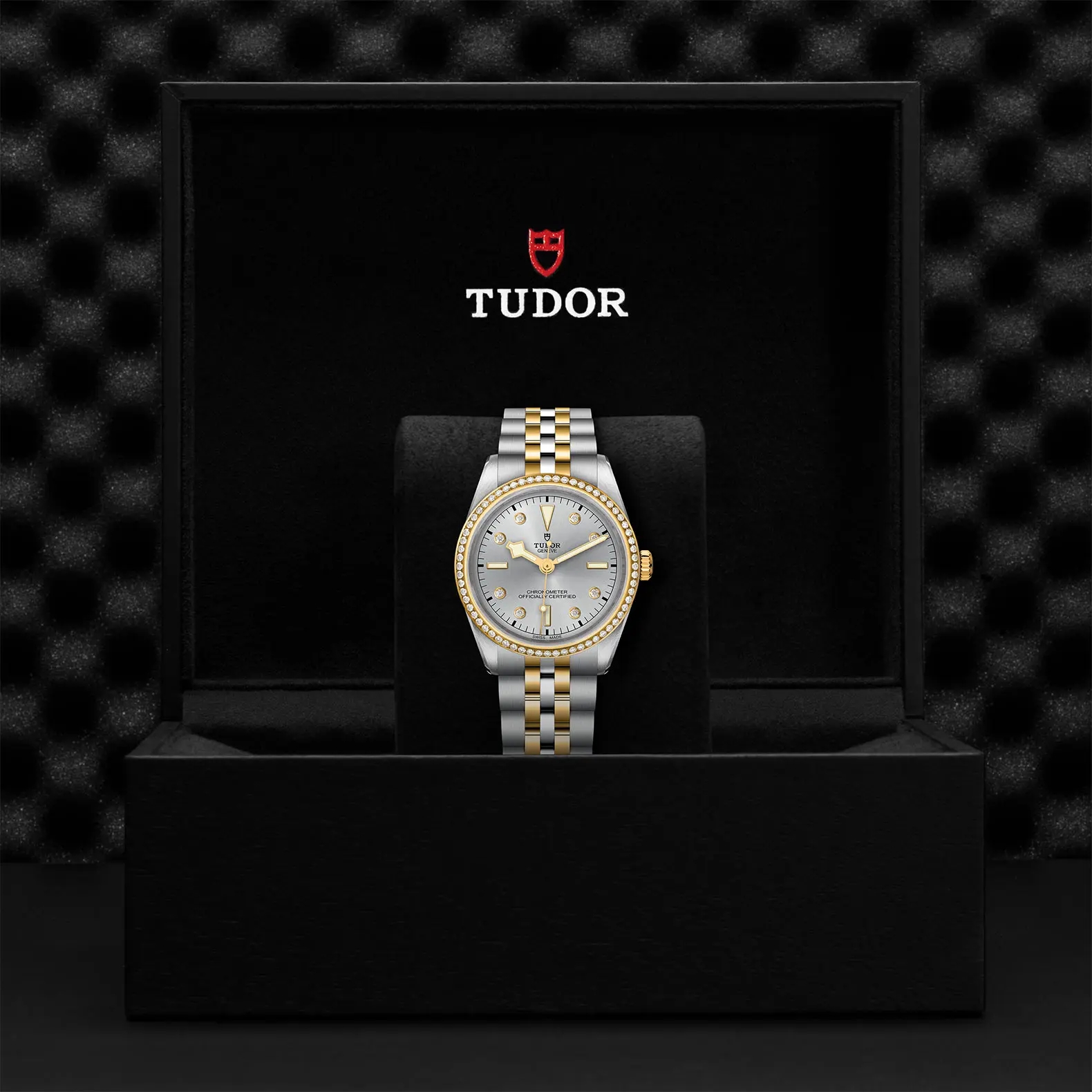 TUDORBlack Bay 36 S&GBlack Bay 31/36/39/4136mm steel case with polished and satin finish - M79653-0006 at Cortina Watch Singapore