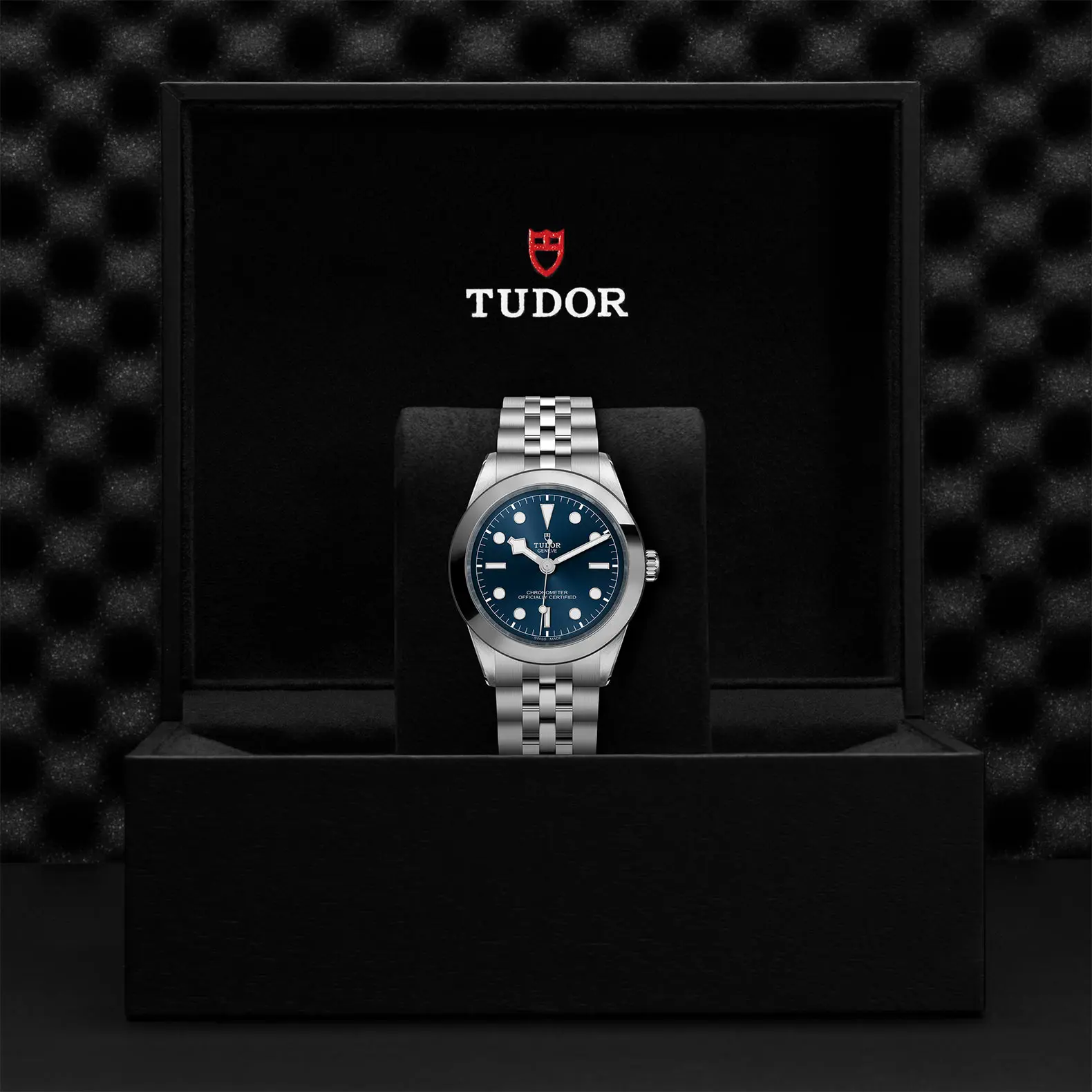 TUDORBlack Bay 39Black Bay 31/36/39/4139mm stainless steel case with polished and satin finish - M79660-0002 at Cortina Watch Singapore