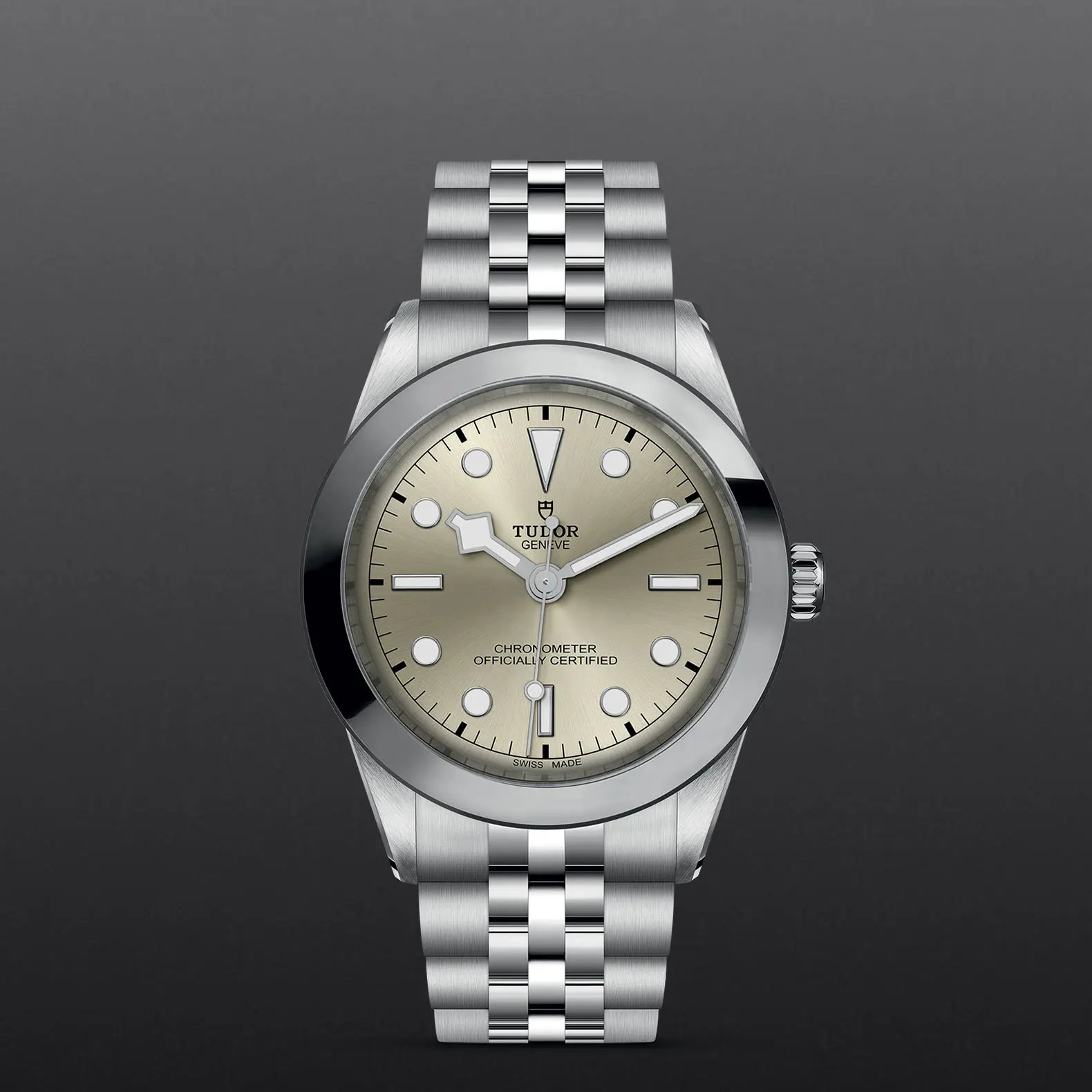 TUDORBlack Bay One 39Black Bay One39mm stainless steel case with polished and satin finish - M79660-0003 at Cortina Watch Singapore