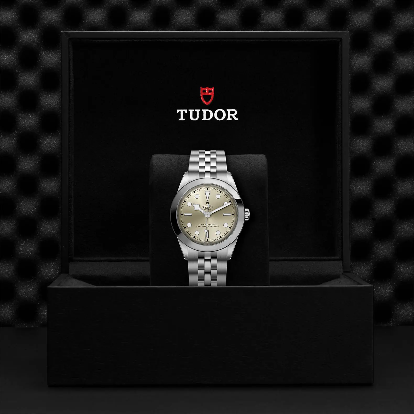 TUDORBlack Bay One 39Black Bay One39mm stainless steel case with polished and satin finish - M79660-0003 at Cortina Watch Singapore