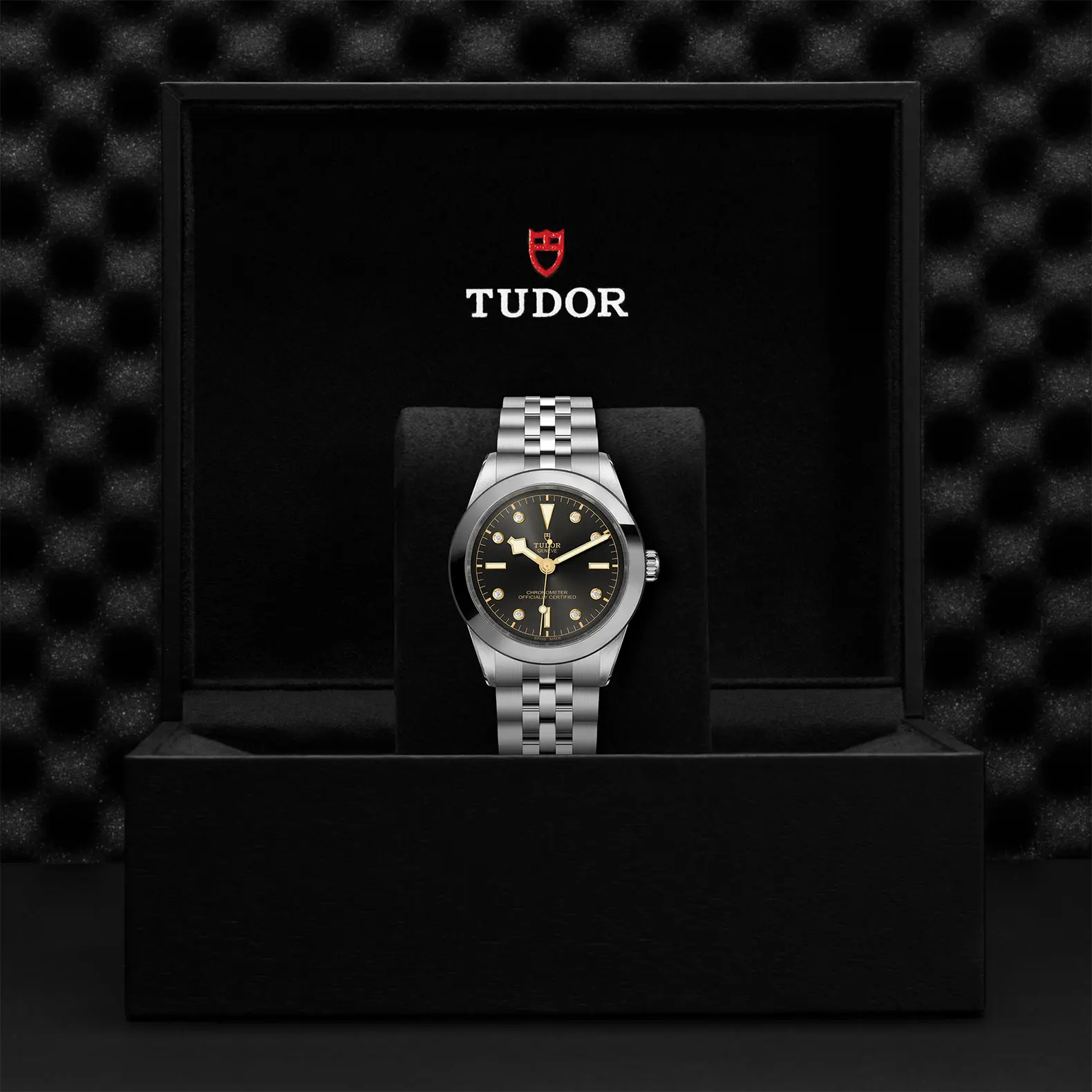 TUDORBlack Bay One 39Black Bay One磨光及磨砂不锈钢表壳，直径39毫米 -  at Cortina Watch Singapore