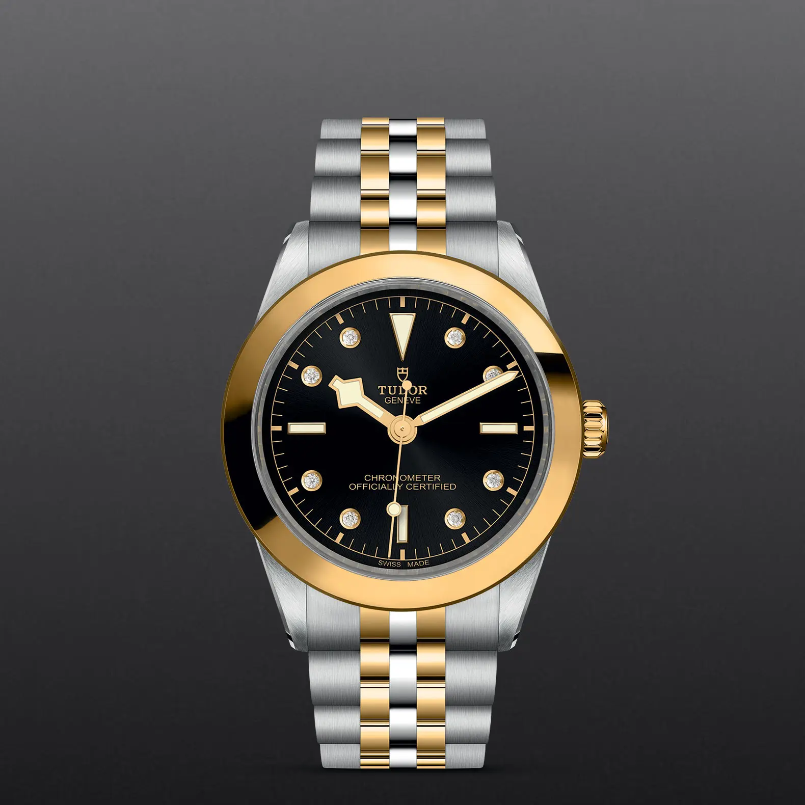TUDORBlack Bay 39 S&GBlack Bay 31/36/39/4139mm steel case with polished and satin finish - M79663-0006 at Cortina Watch Singapore