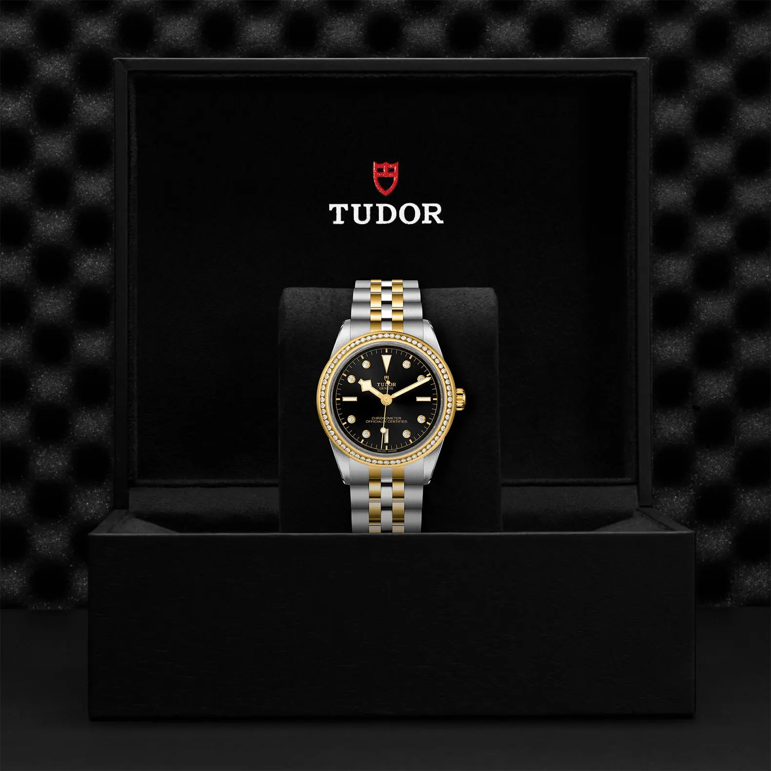 TUDORBlack Bay One 39 S&GBlack Bay One39mm steel case with polished and satin finish - M79673-0005 at Cortina Watch Singapore
