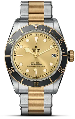 TUDORBlack Bay S&GBlack Bay41mm steel case with polished and satin finish - M79733N-0004 at Cortina Watch Singapore
