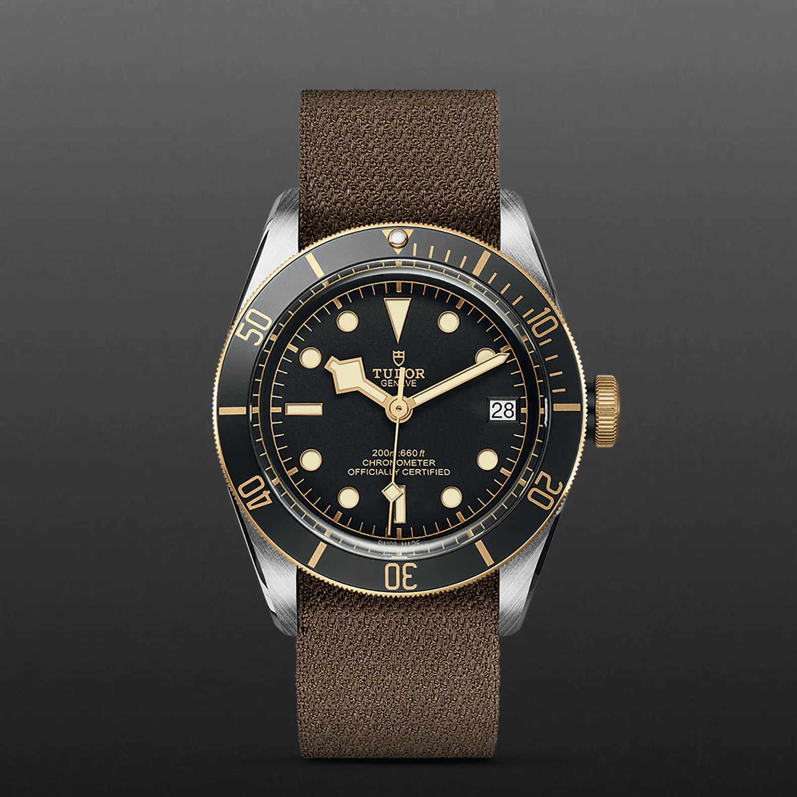 TUDORBlack Bay S&GBlack Bay41mm steel case with polished and satin finish - M79733N-0005 at Cortina Watch Singapore