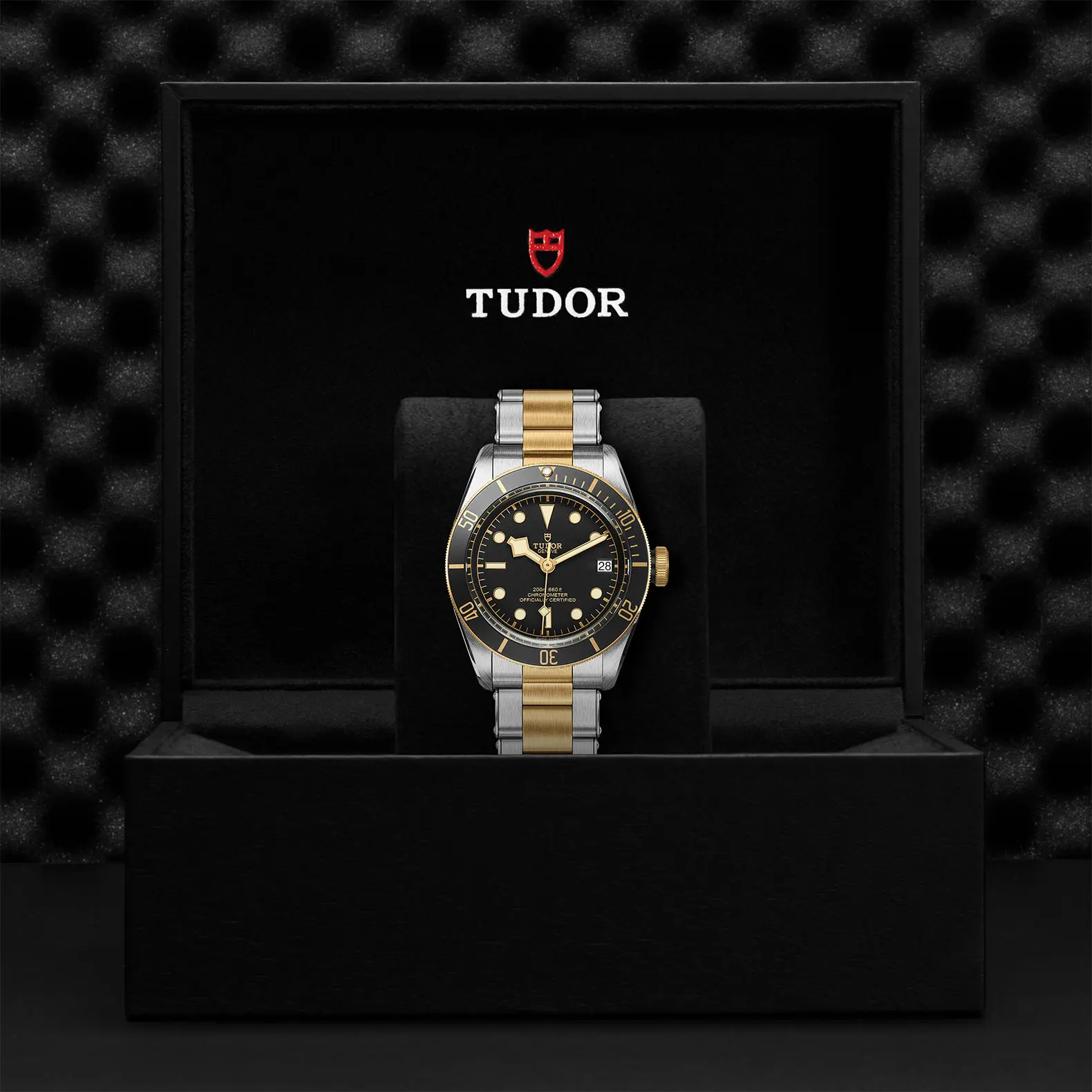 TUDORBlack Bay S&GBlack Bay41mm steel case with polished and satin finish - M79733N-0008 at Cortina Watch Singapore