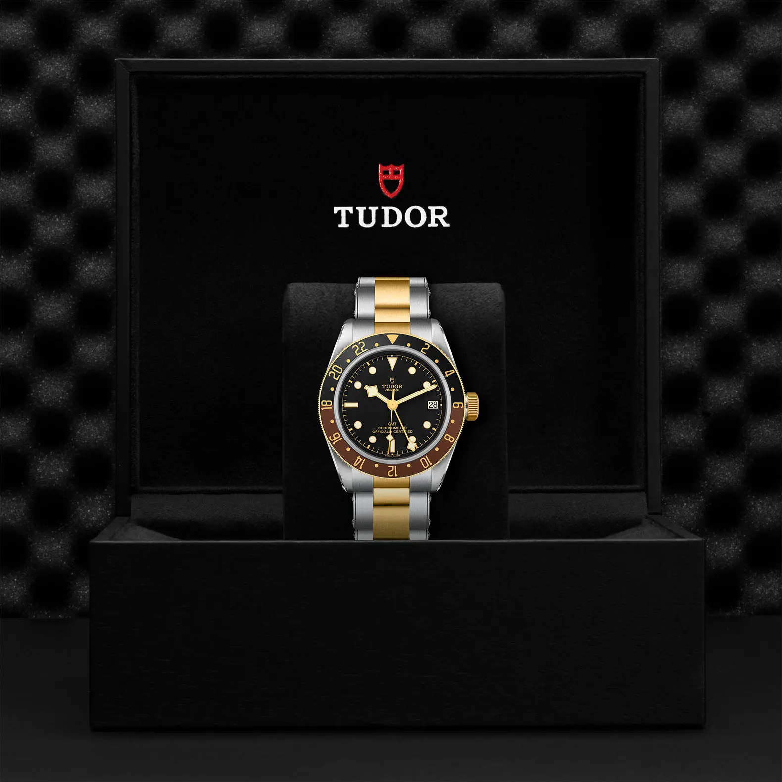 TUDORBlack Bay GMT S&GBlack Bay GMT41mm steel case with polished and satin finish - M79833MN-0001 at Cortina Watch Singapore