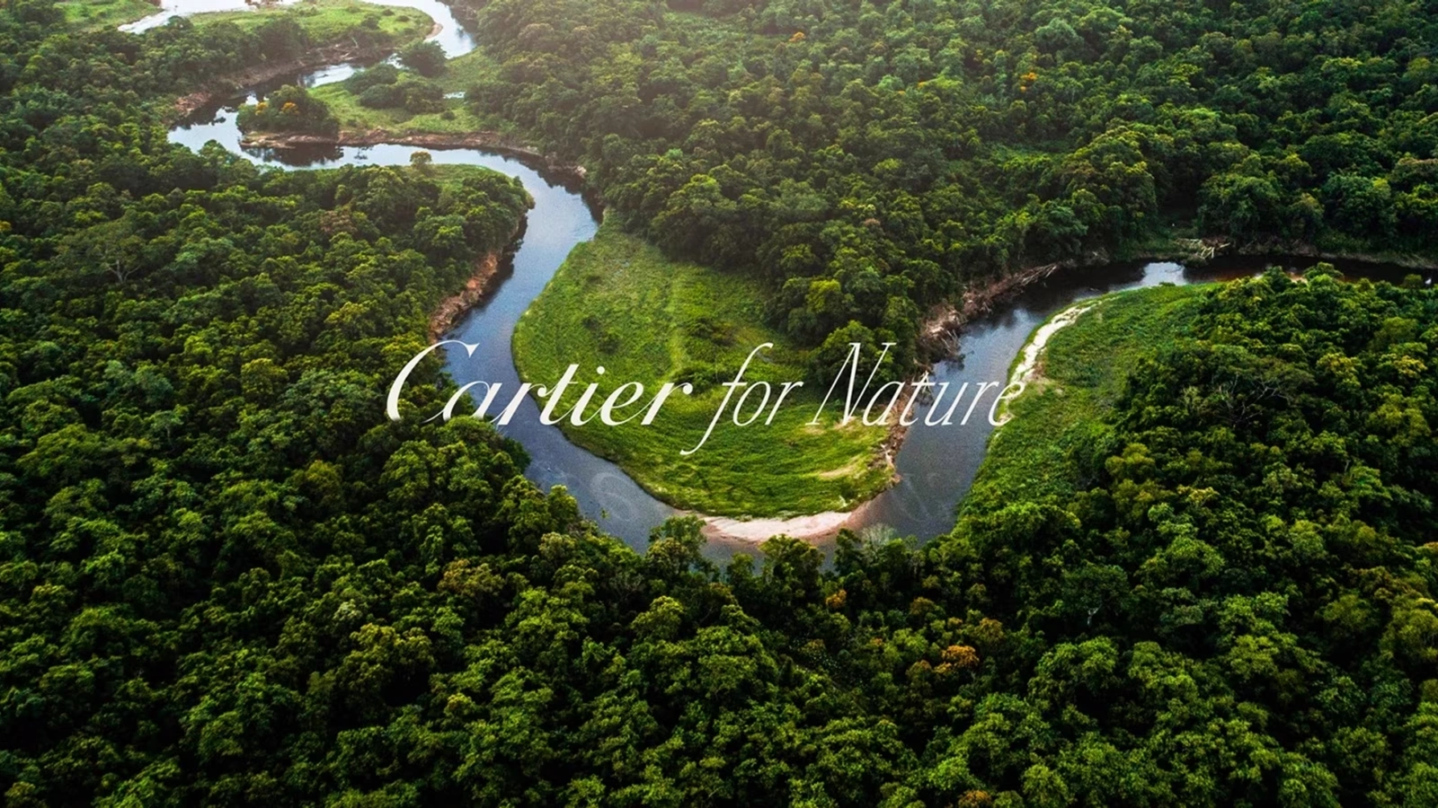 Cartier – Society and Community