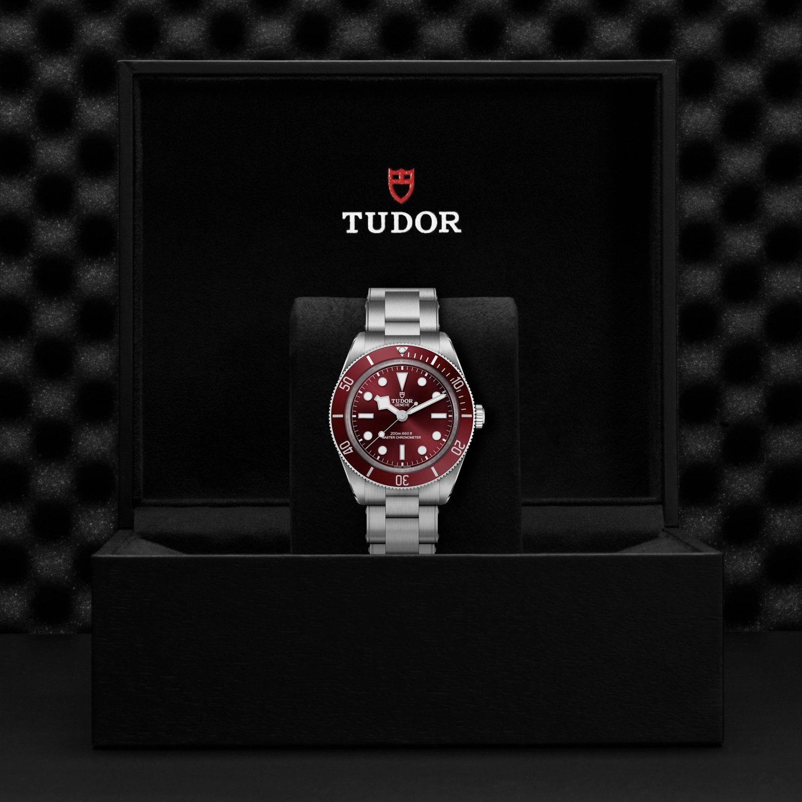 TUDORBlack Bay 58Black Bay 5839mm stainless steel case with polished and satin finishes - M7939A1A0RU-0002 at Cortina Watch Singapore