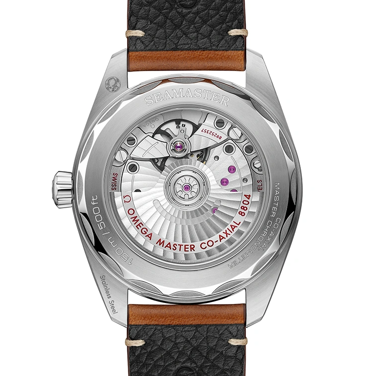 Seamaster Railmaster - Cortina Watch