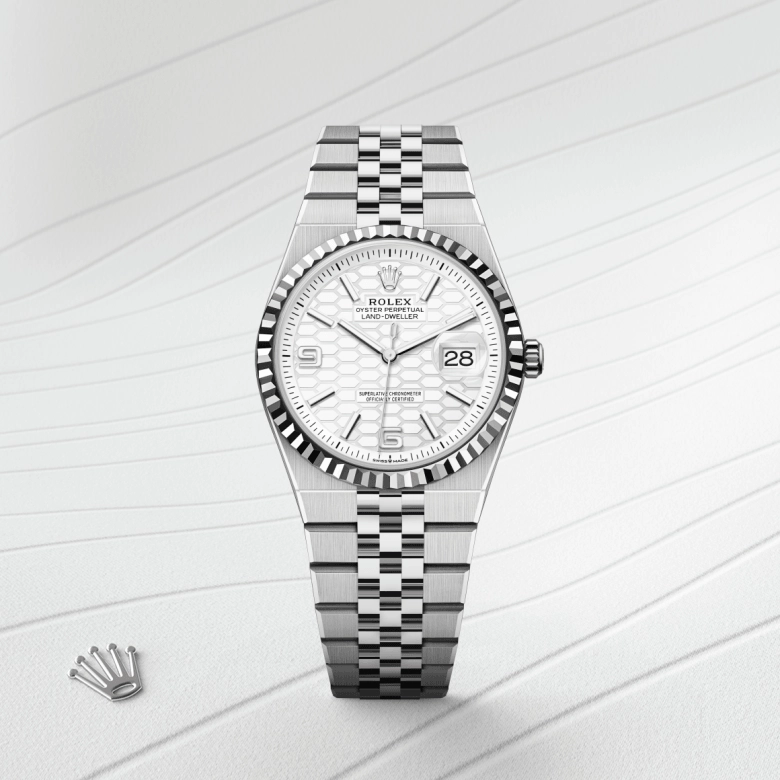 rolex land-dweller in white-rolesor, m127234-0001 - cortina watch