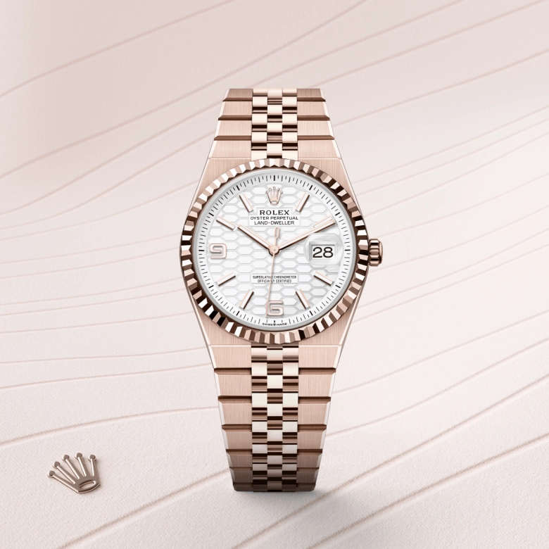 rolex land-dweller in 18-ct-everose-gold, m127235-0001 - cortina watch
