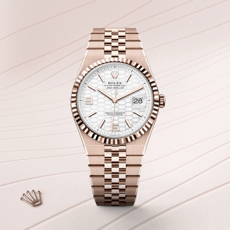 rolex land-dweller in 18-ct-everose-gold, m127335-0001 - cortina watch
