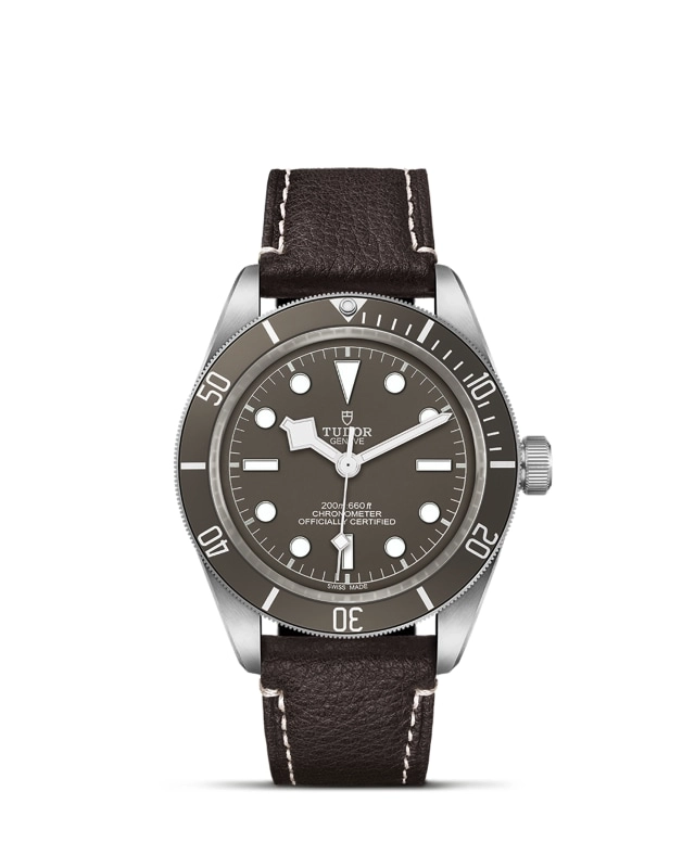 TUDORBlack Bay 58 925Black Bay 5839mm 925 silver case, satin finished Open case back with sapphire crystal - M79010SG-0001 at Cortina Watch Singapore