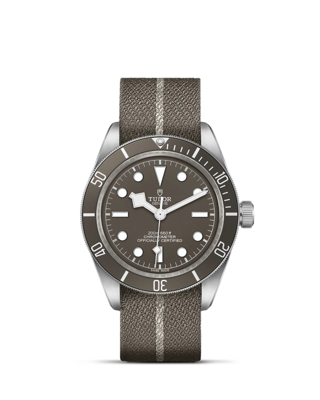 TUDORBlack Bay 58 925Black Bay 5839mm 925 silver case, satin finished Open case back with sapphire crystal - M79010SG-0002 at Cortina Watch Singapore