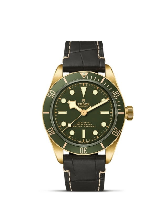TUDORBlack Bay 58 18KBlack Bay 5839mm case, satin finished, in 18 ct yellow gold Open case back with sapphire crystal - M79018V-0001 at Cortina Watch Singapore