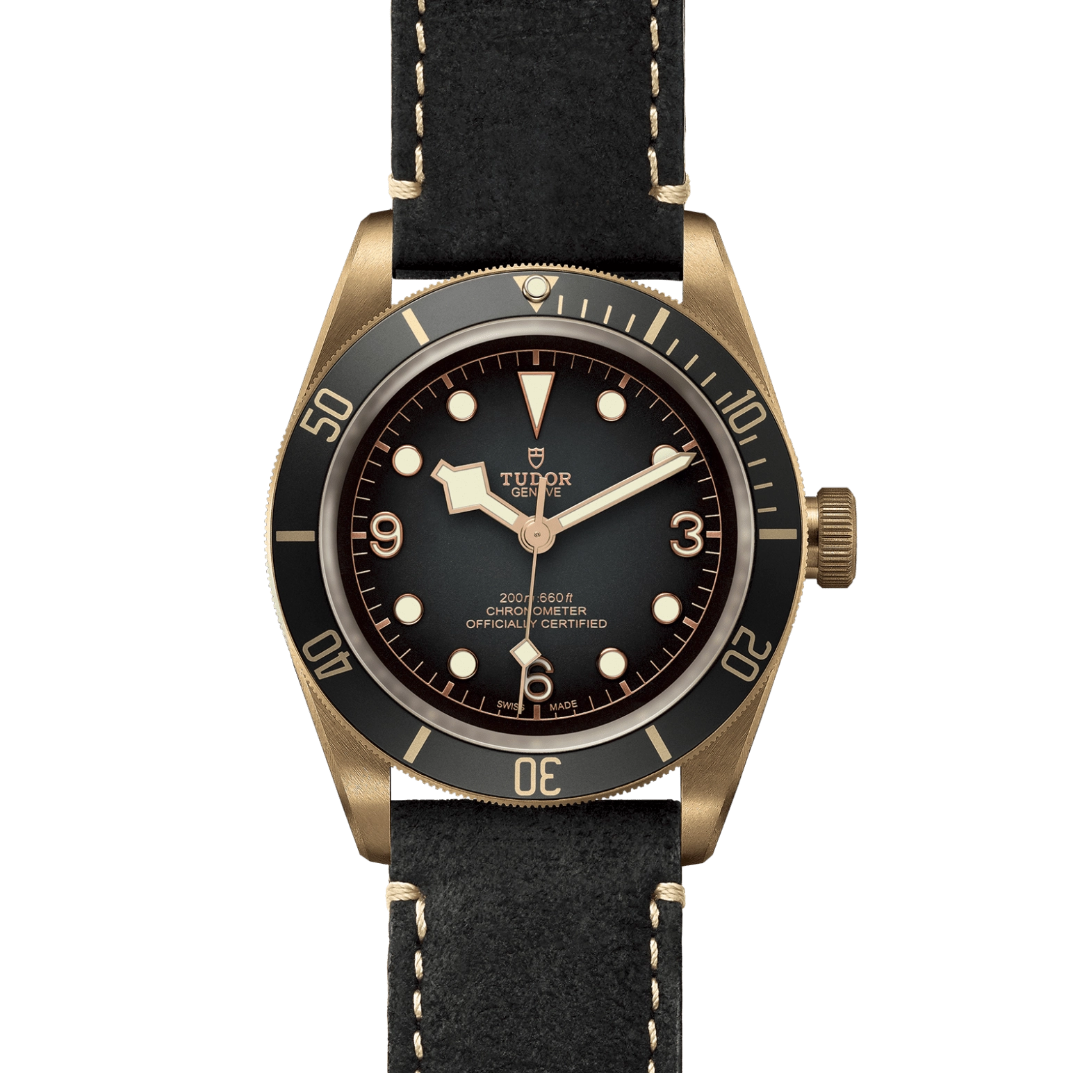 TUDORBlack Bay BronzeBlack Bay Bronze43mm bronze case with bronze-coloured PVD-treated steel case back and satin finish -  at Cortina Watch Singapore