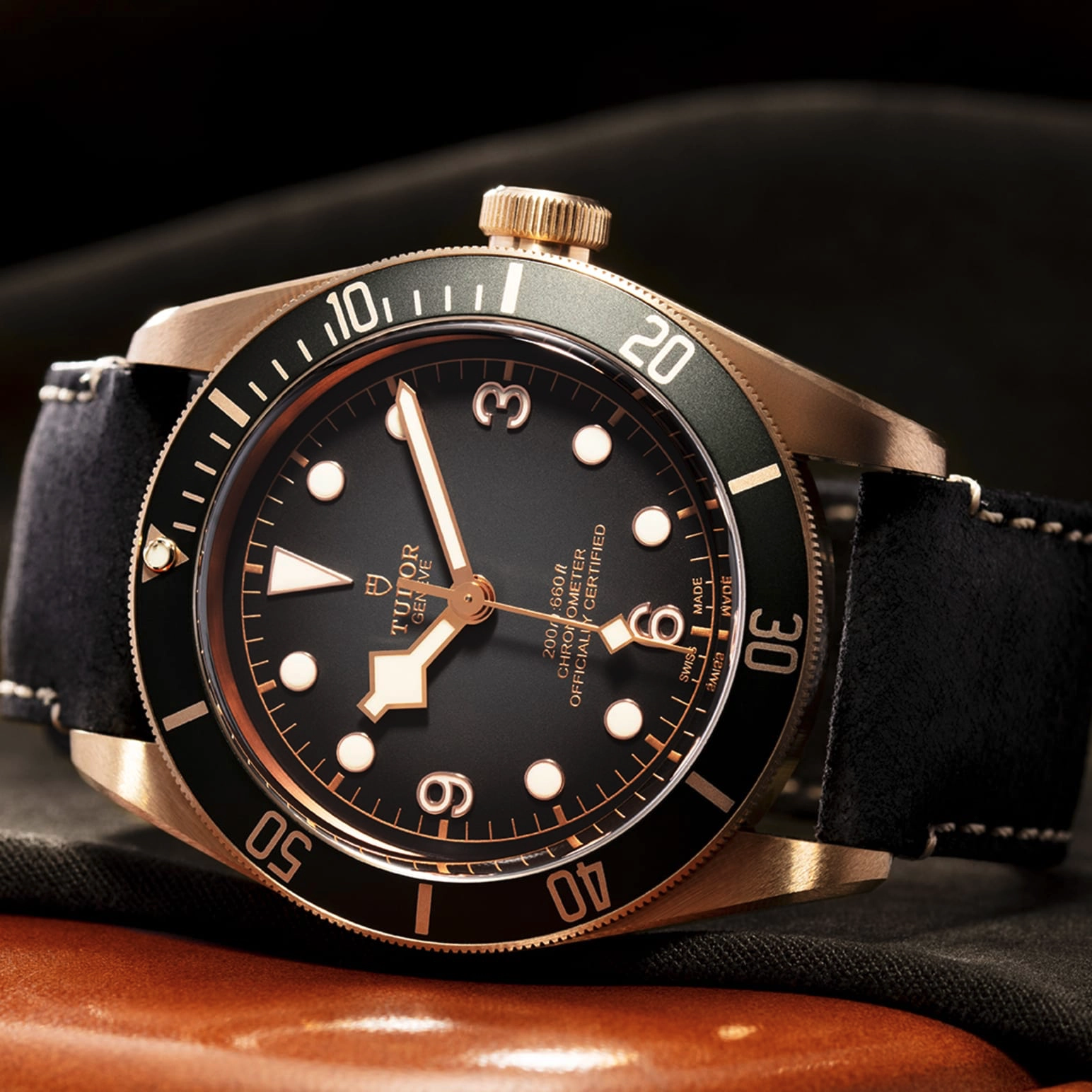 TUDORBlack Bay BronzeBlack Bay Bronze43mm bronze case with bronze-coloured PVD-treated steel case back and satin finish -  at Cortina Watch Singapore