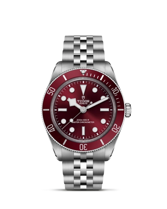 TUDORBlack Bay 58Black Bay 5839mm stainless steel case with polished and satin finishes - M7939A1A0RU-0001 at Cortina Watch Singapore
